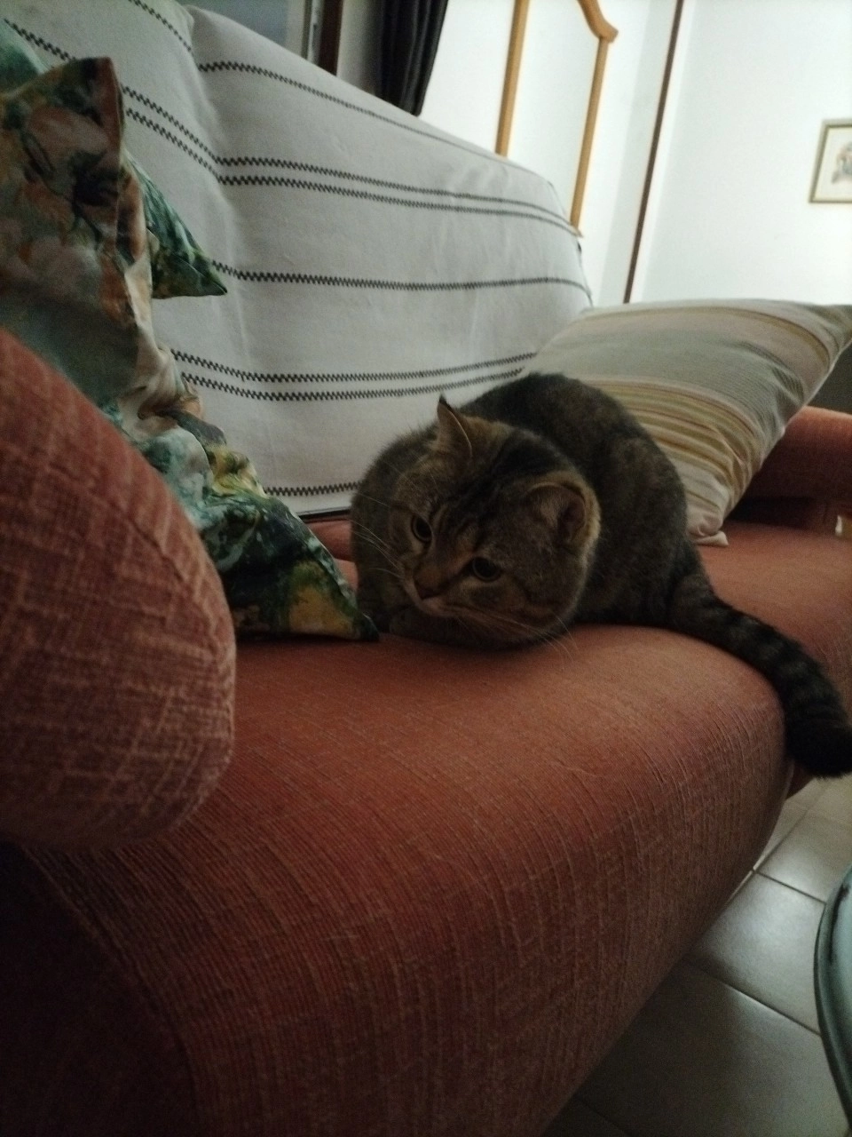 Yuno - Calle Roncesvalles 16, Narón