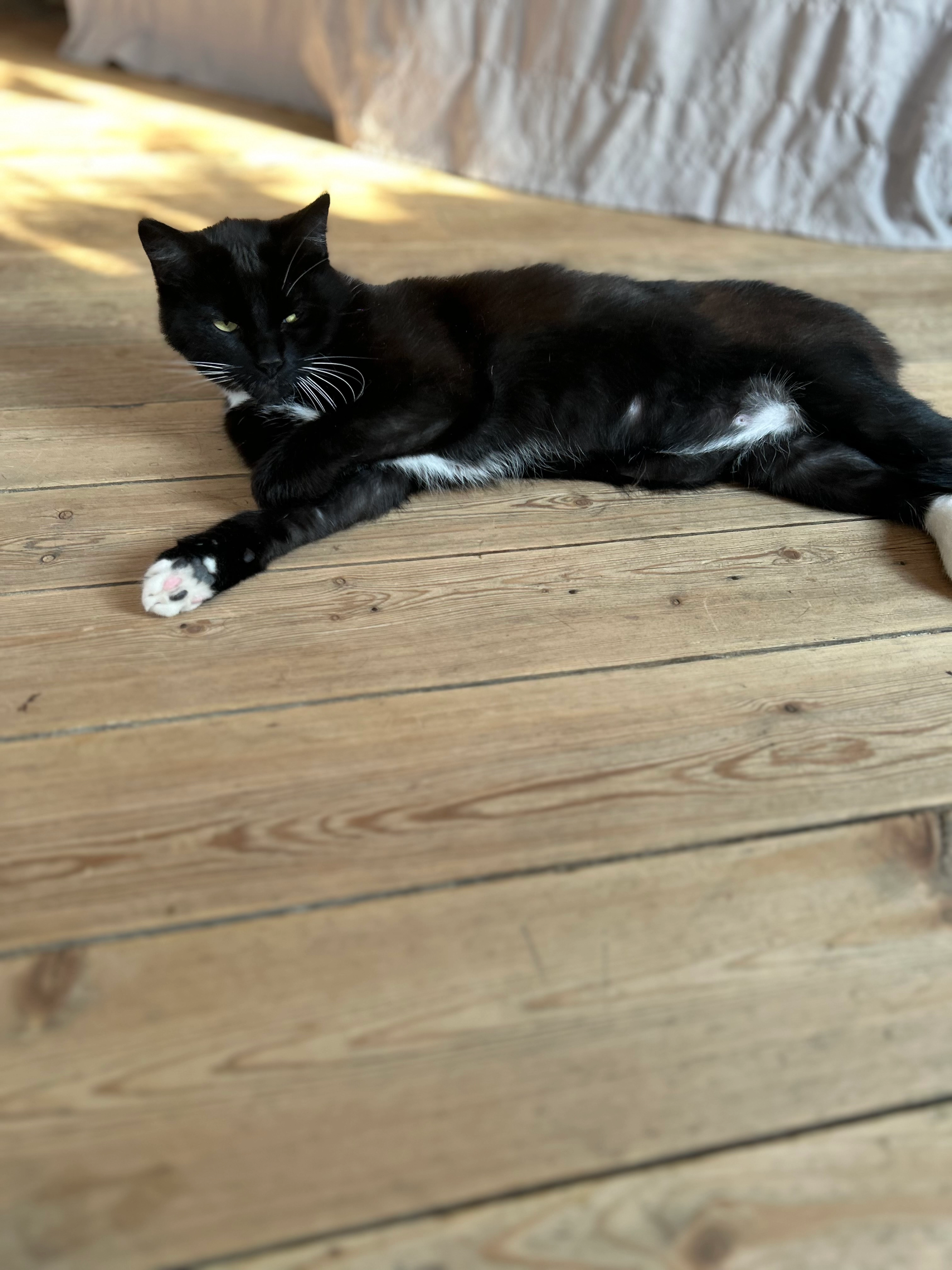 Odin  - A la boulangerie sur la place de Maretz , Maretz