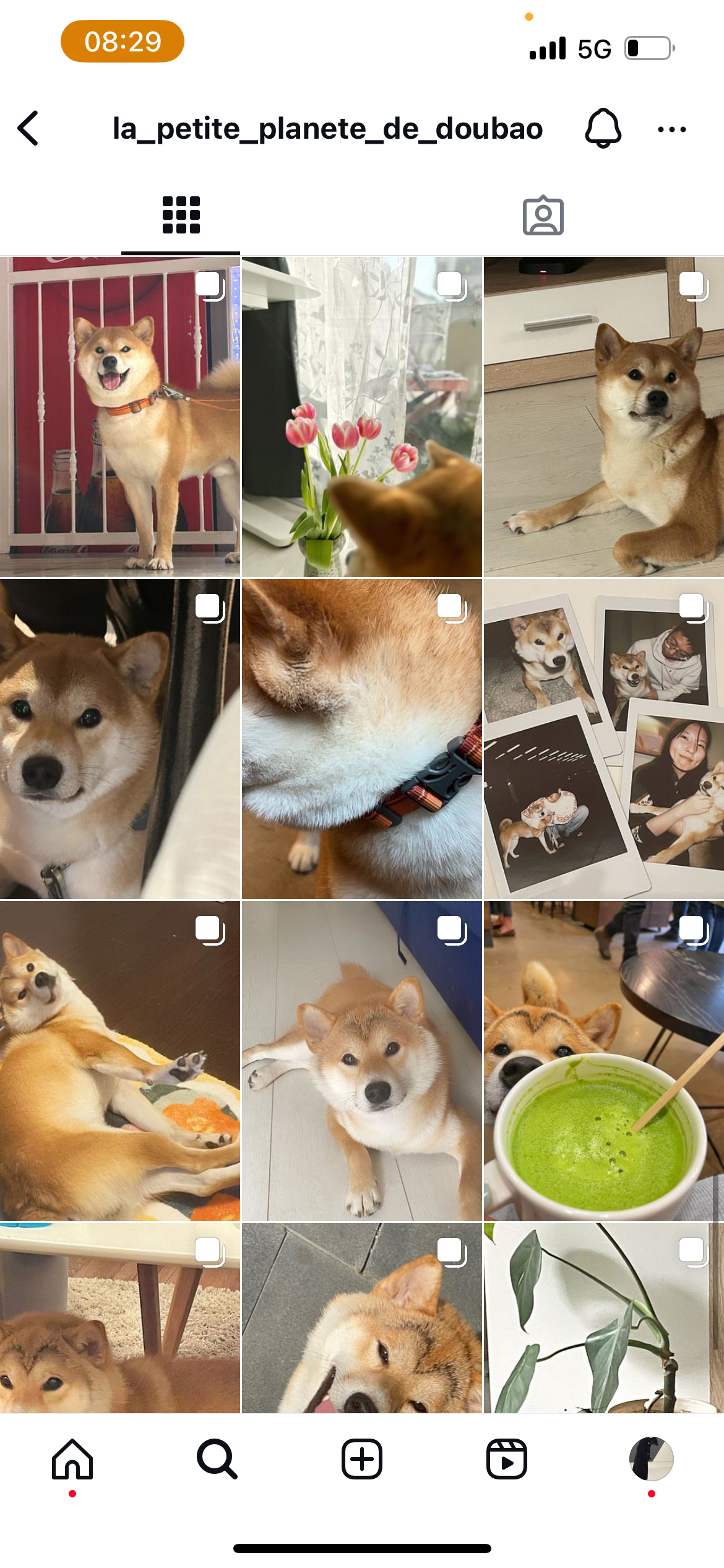 DouBao - Tűzoltó Utca, Budapest