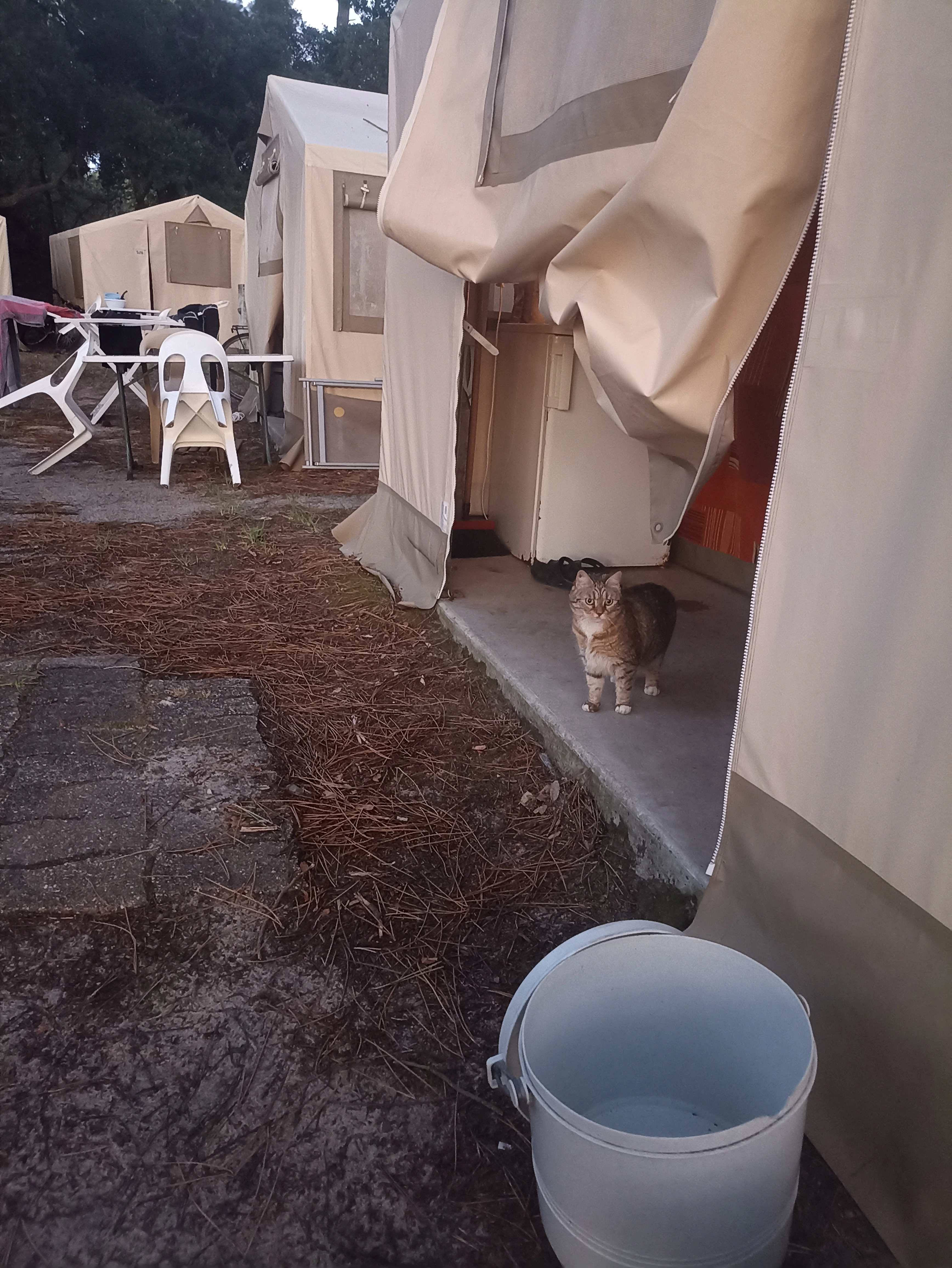 TC - Rue Des Oeillets Des Dunes, Capbreton