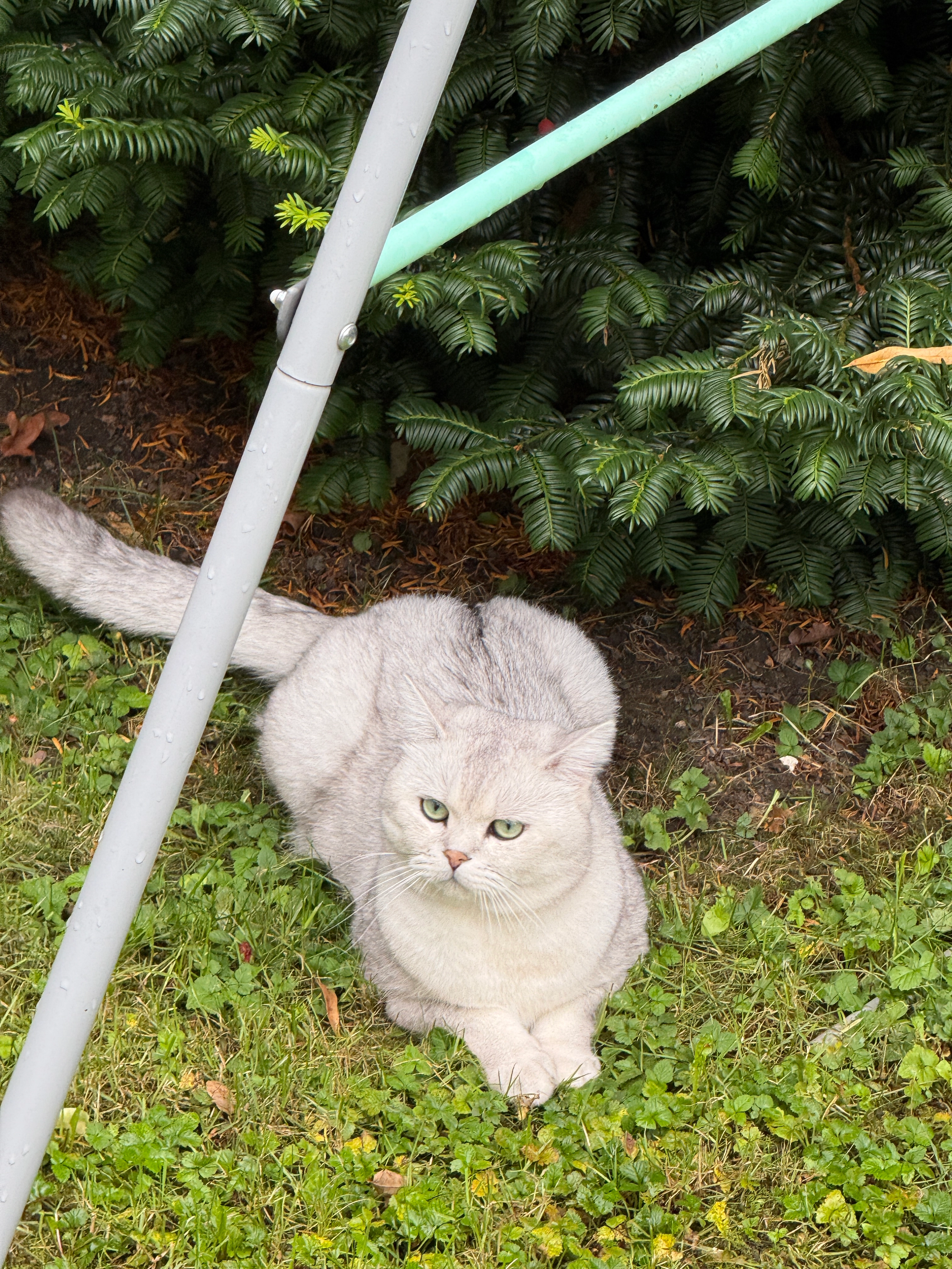 Nika - Gravenbruchweg, Offenbach am Main