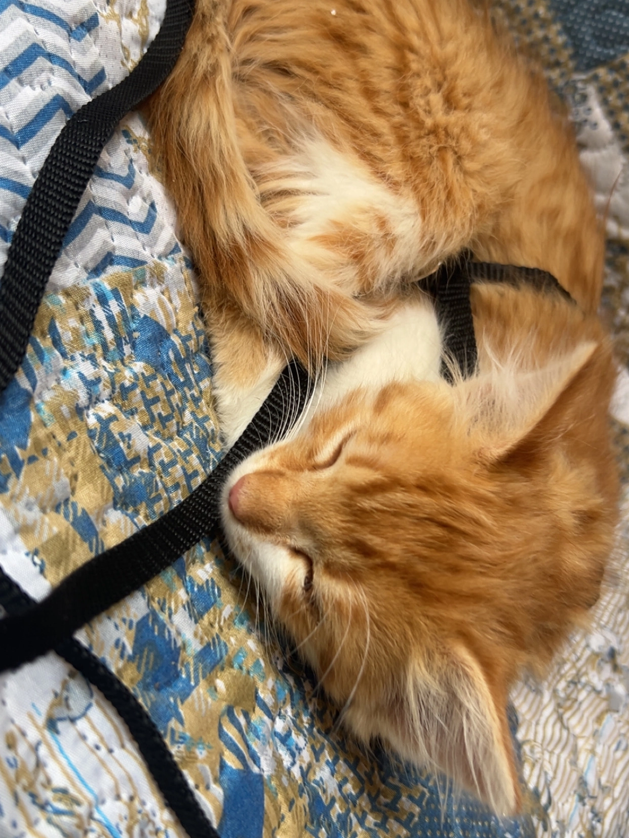 Žucko - Weitern 11, Sankt Pölten