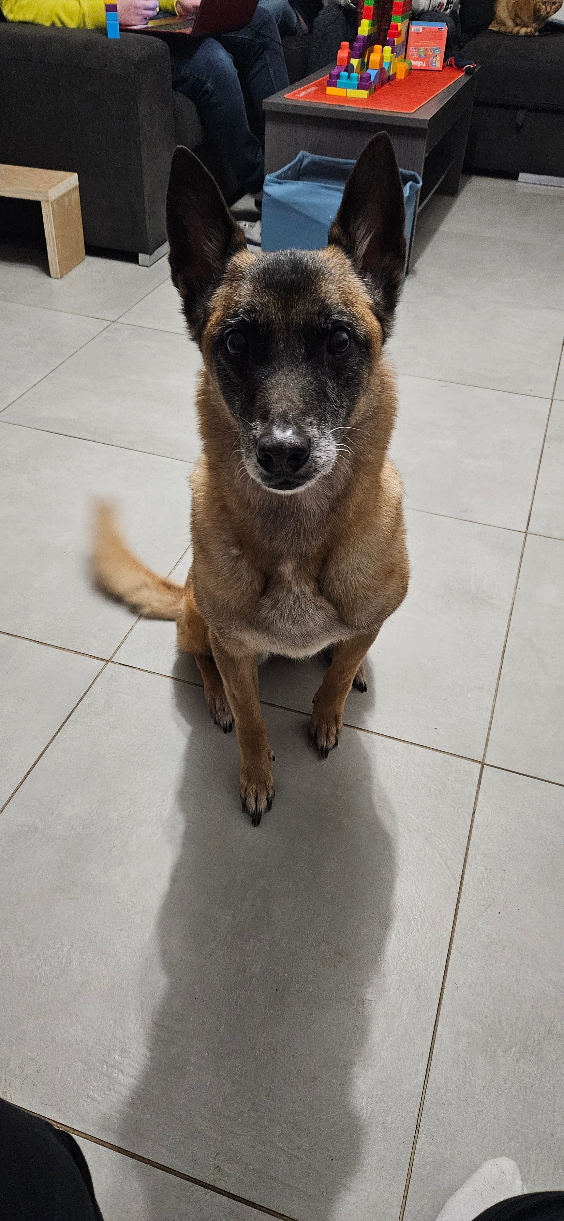 Luna - Rue De La Gare, Plaisir