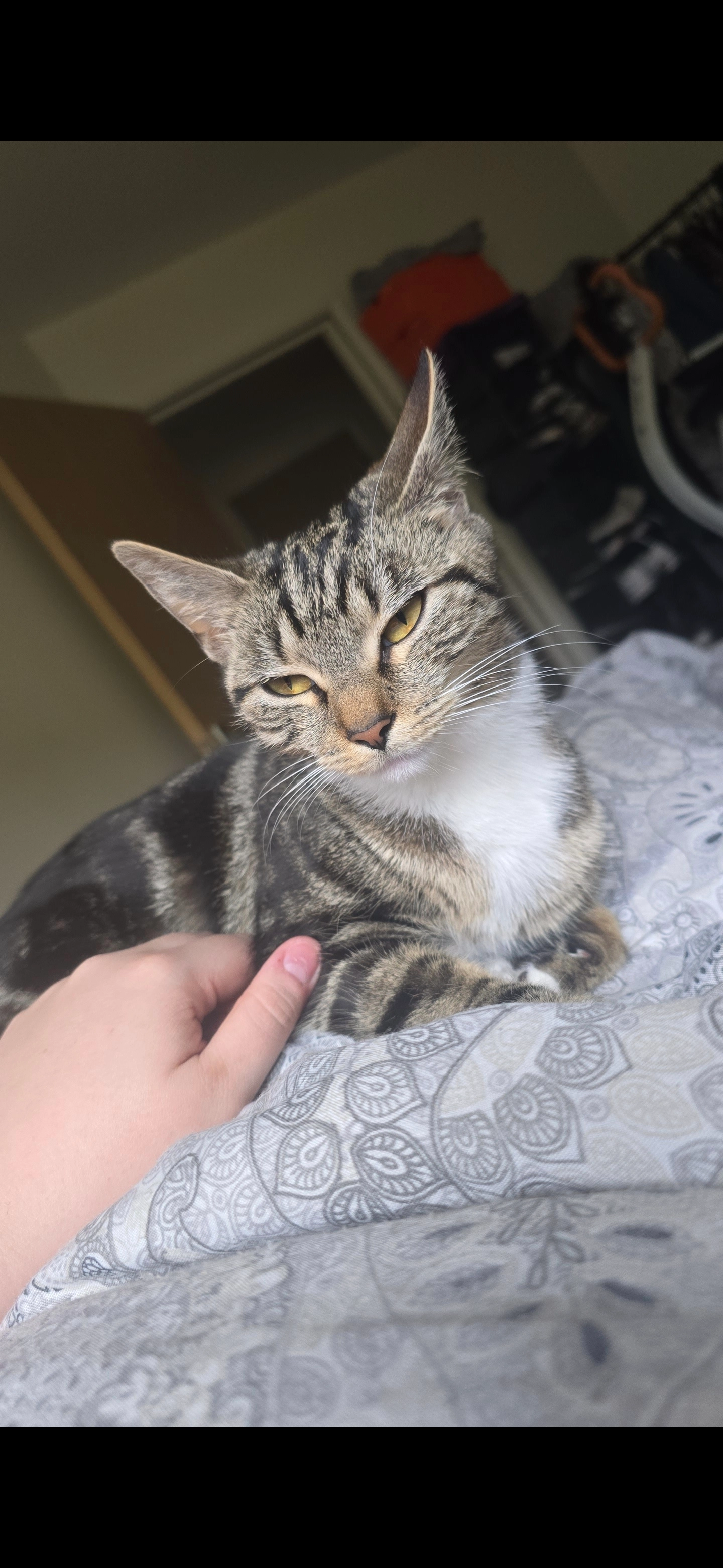 LOLA - Dyffryn Court, Newport