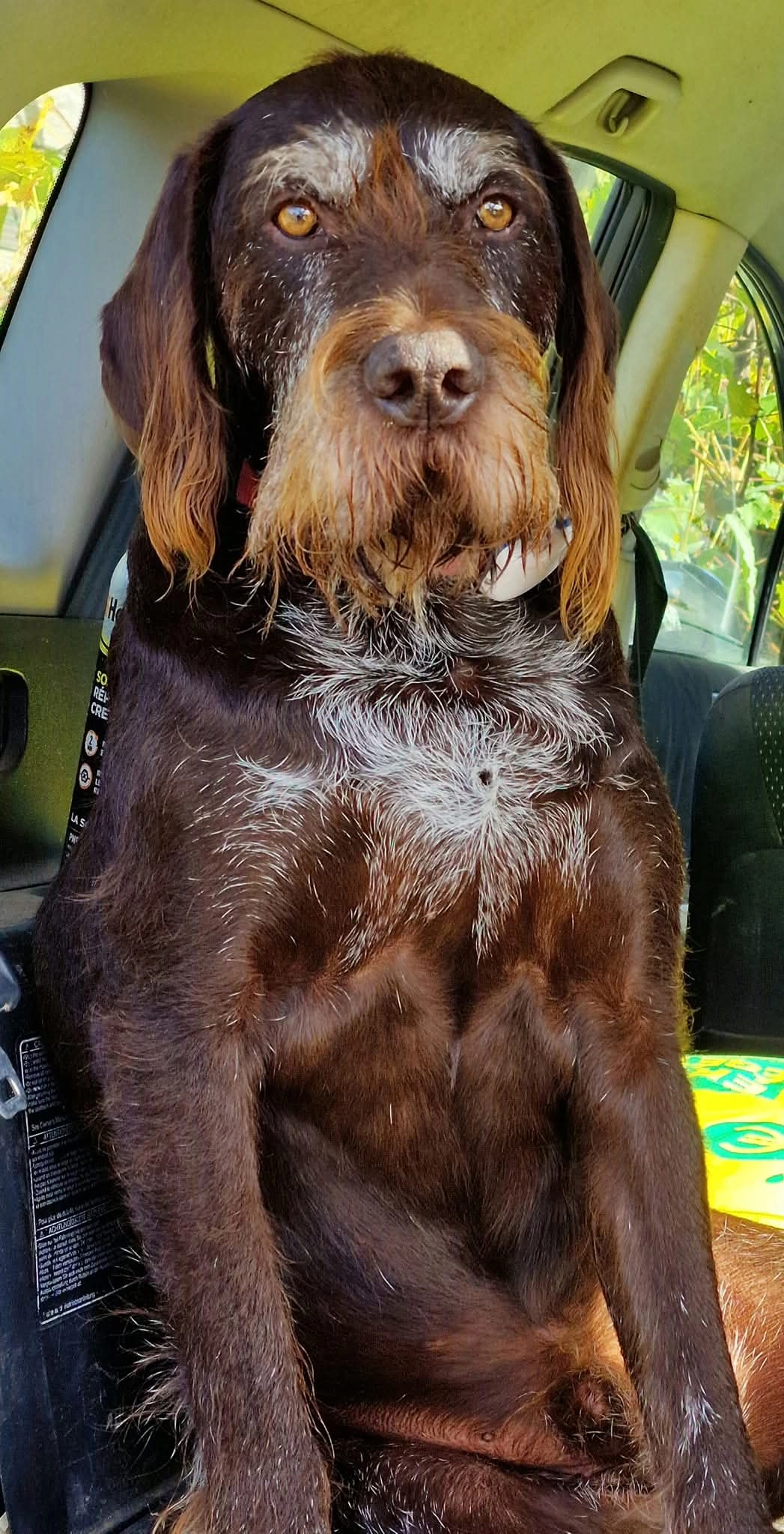 Bobi - Chemin de Vachères, Cessieu