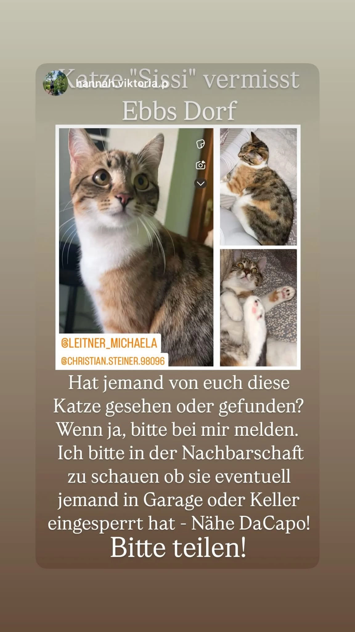 Sissi - Wildbichler Straße, Ebbs