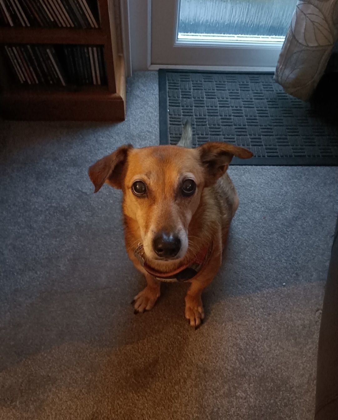 Kaya - 12A Rixon Close, Sturminster Newton