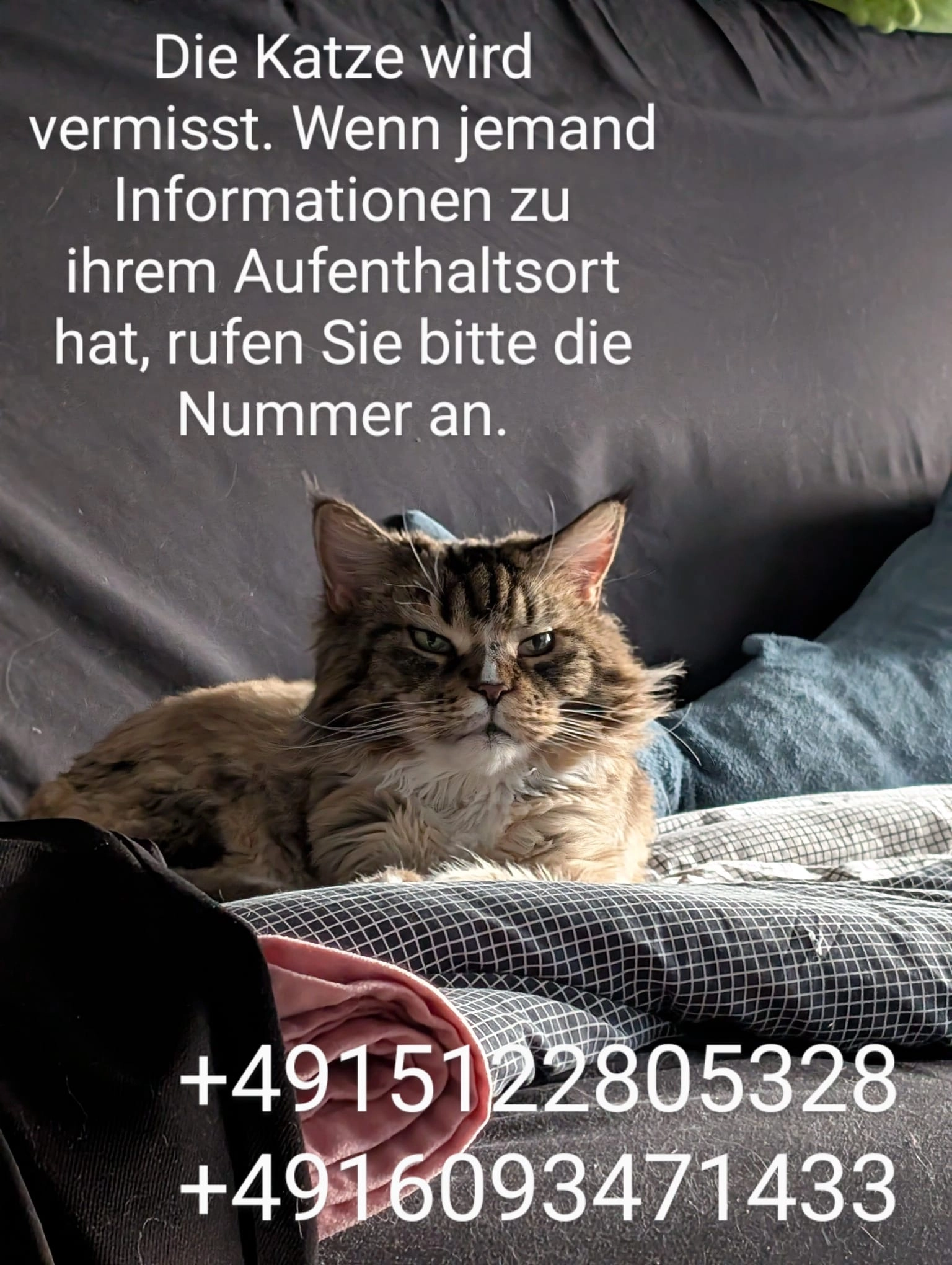 Kapel'ka (капелька) - Leonie-Ossowski-Promenade, Mannheim