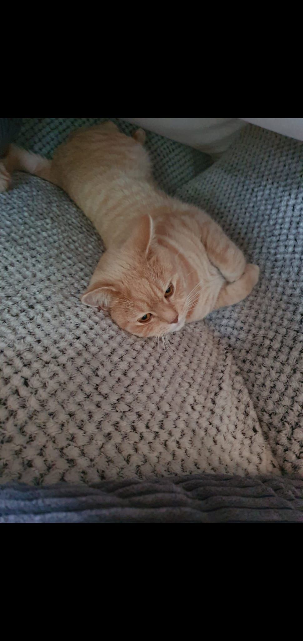 Sam - Gefällerweg, Pirmasens