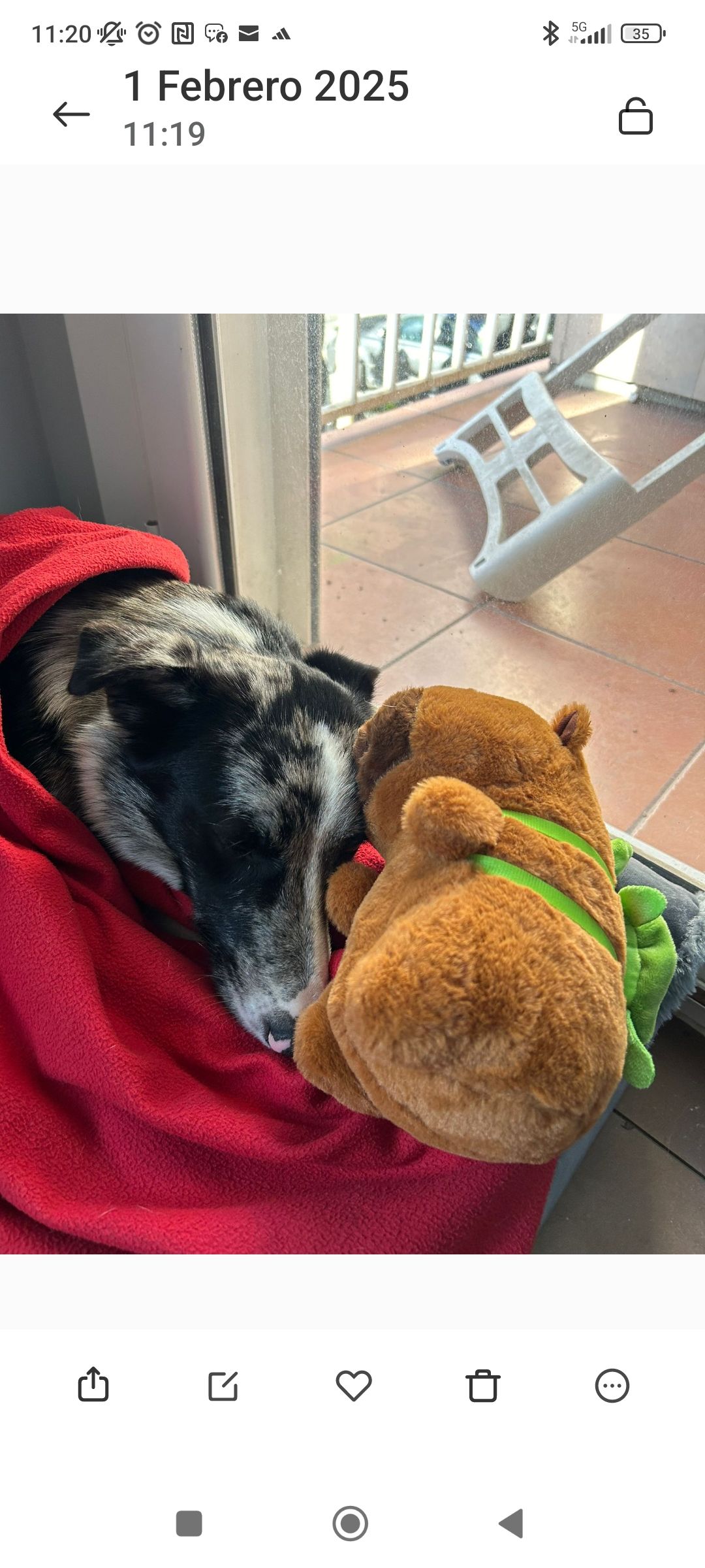 Soria  - Avinguda De Río De Janeiro, Barcelona