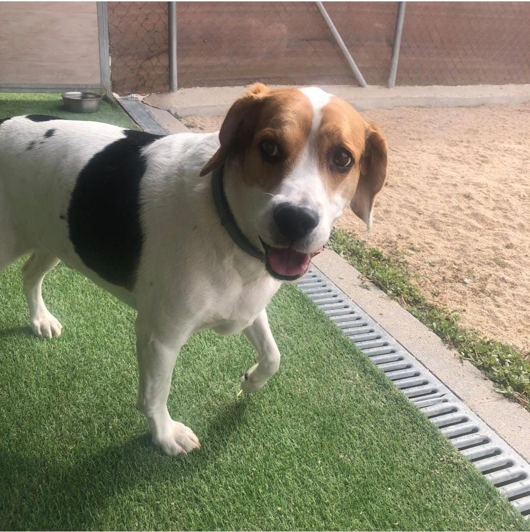 Tupac - Calle de Canillas, Madrid