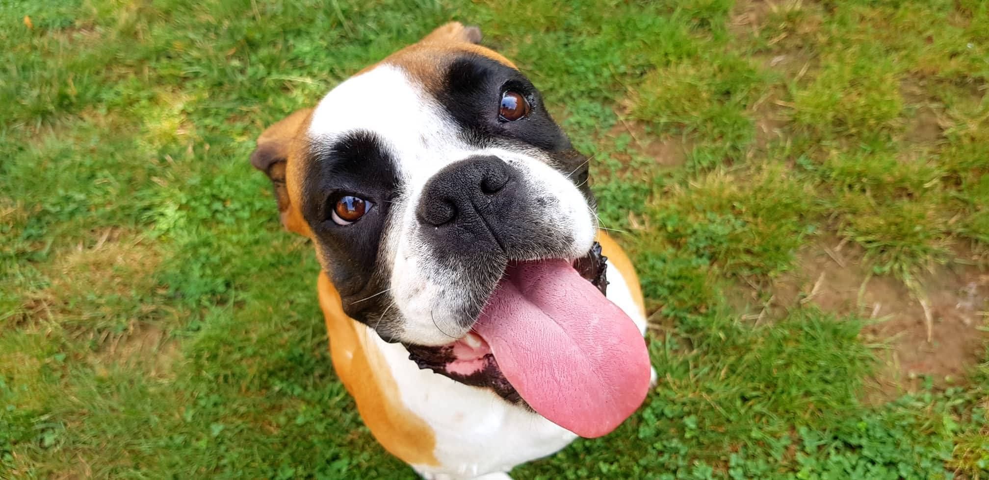 Hope - Pécsudvardi út, Pécsudvard