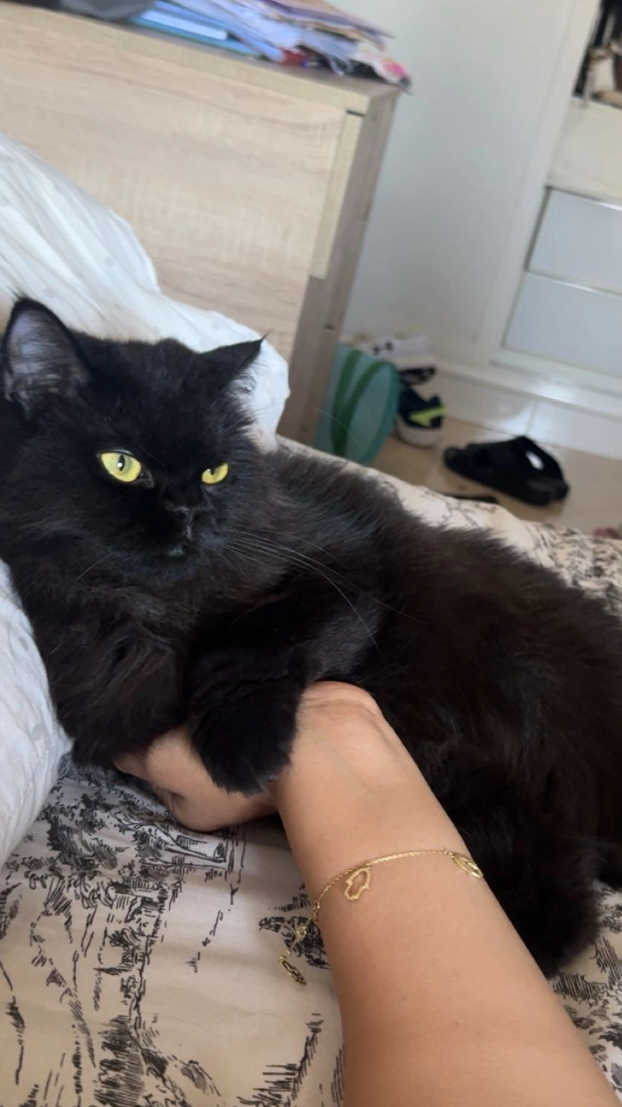 Bianca - Rue 11, Casablanca