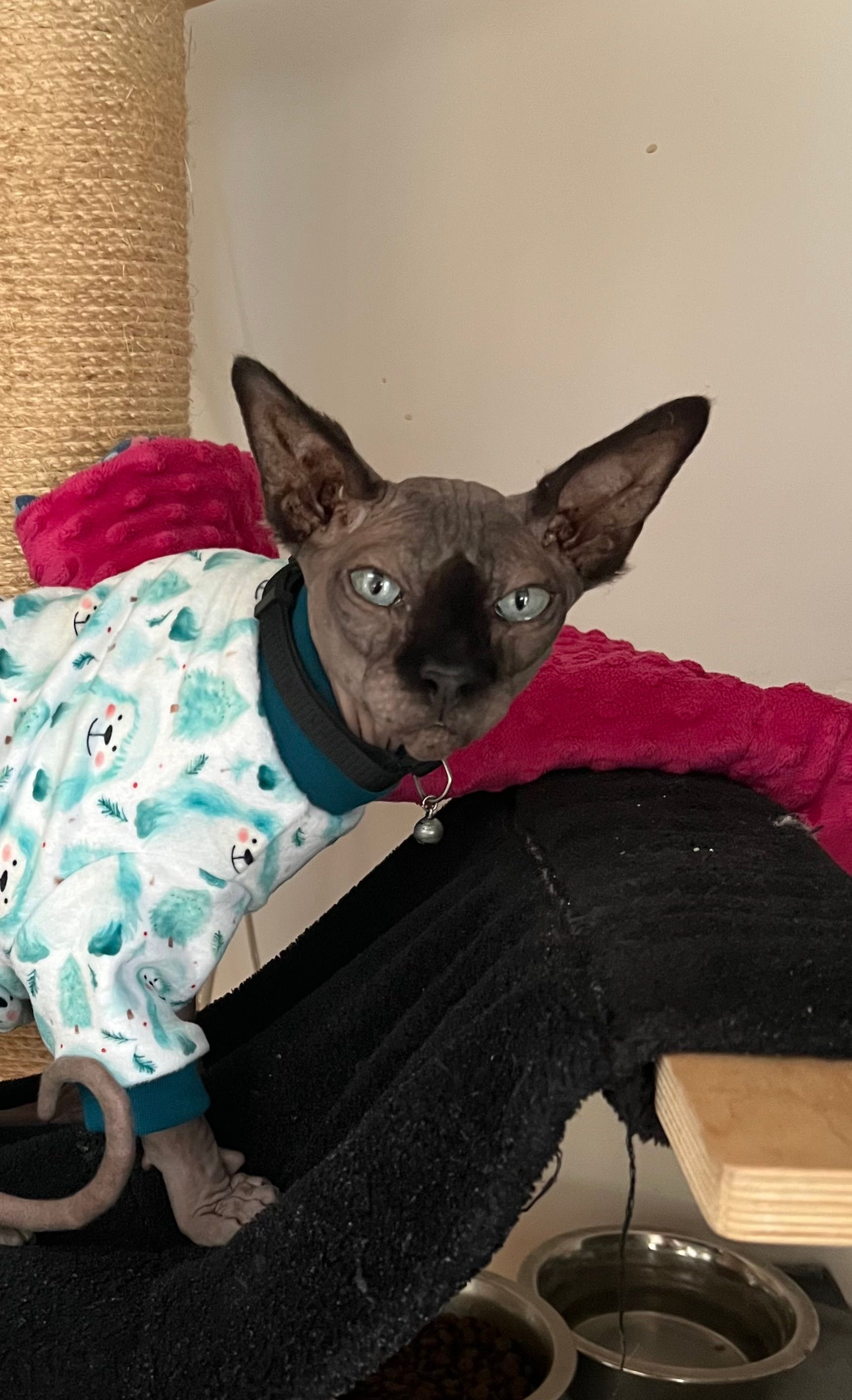 X - Rue Pierre, Hautmont