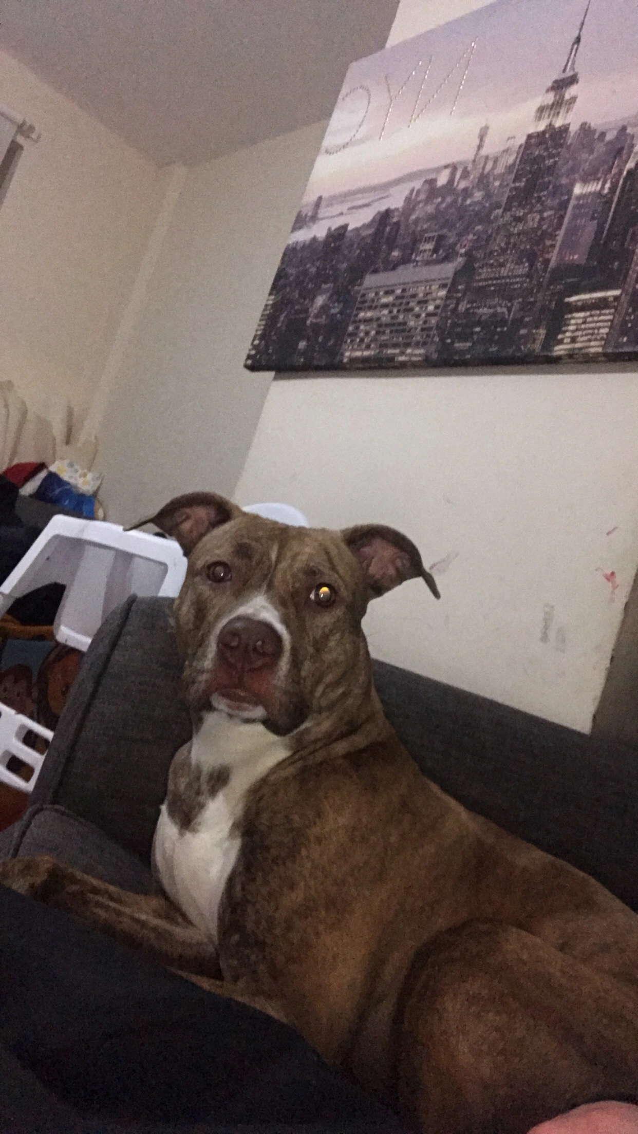 Mika  - Midghall Street, Liverpool