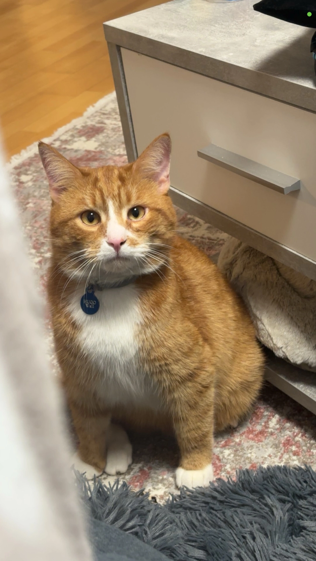 Hugo - Heliosallee, Linz