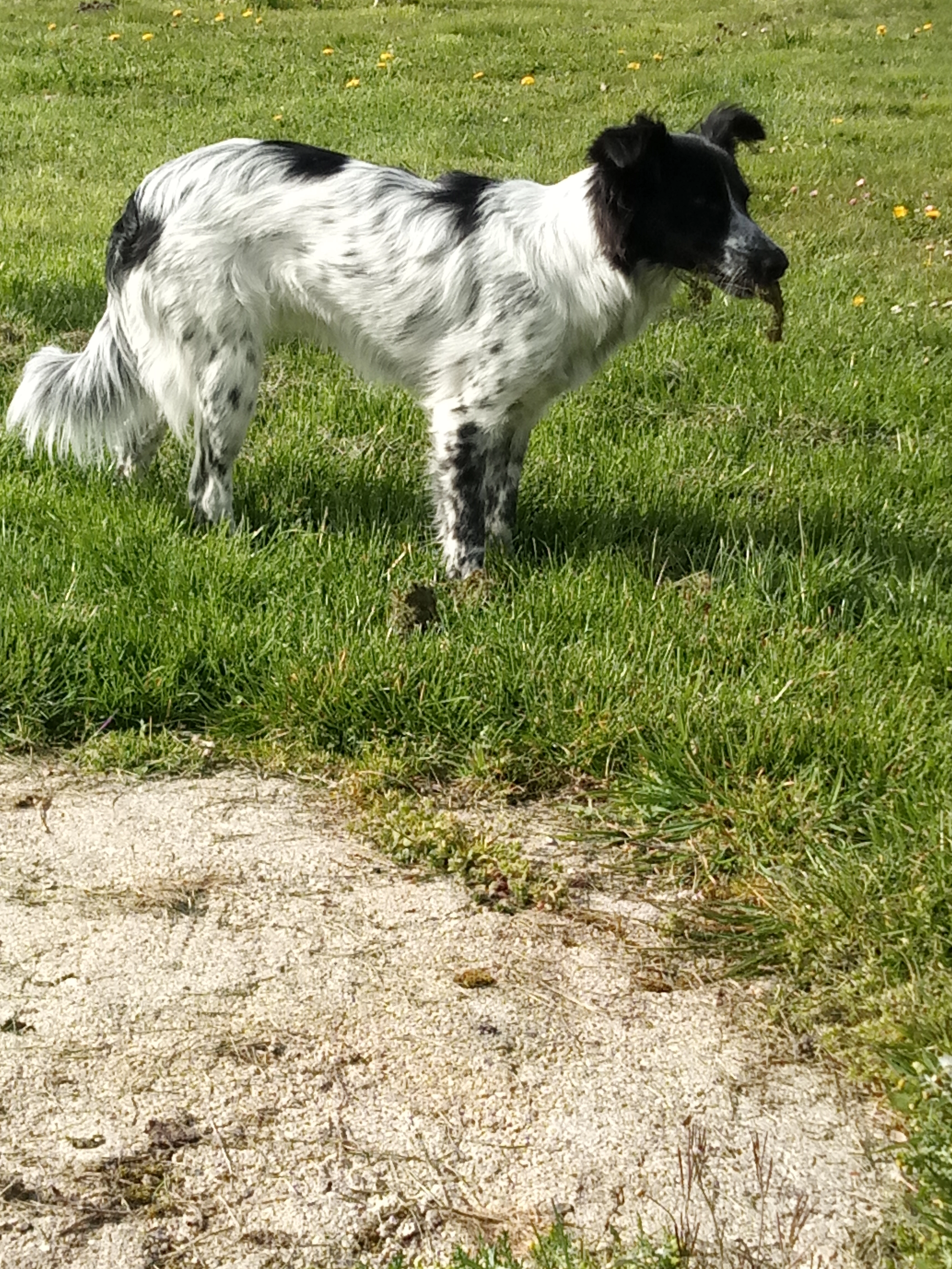 miya - La Loge, Moncoutant-sur-Sèvre