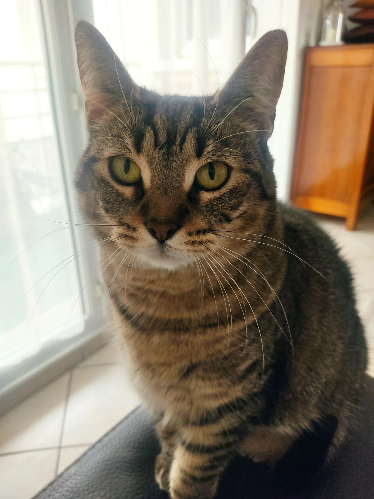 Peanuts  - 4 Rue des Lisses, Chartres