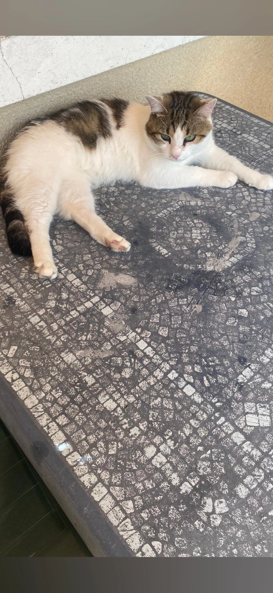 Mimi - Avenue Fabre, Villepinte