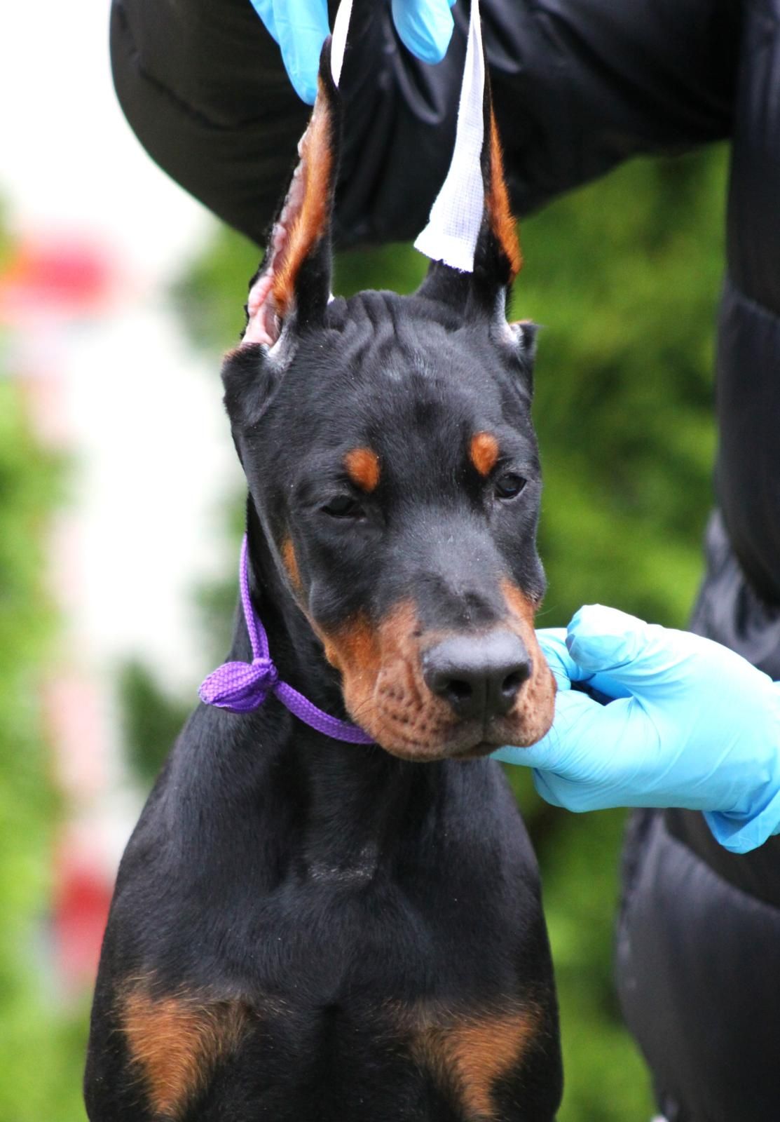Mary Poppins - Friluftsvägen, Sundbyberg