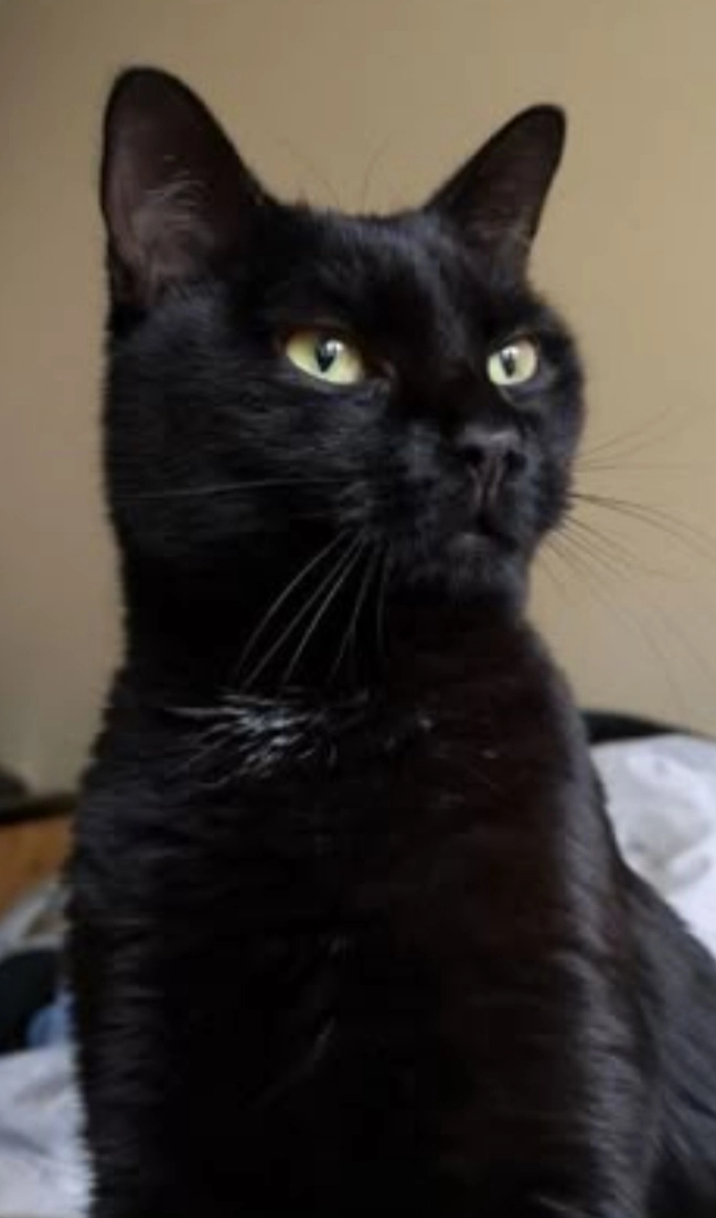 Pusja - 30855, Langenhagen