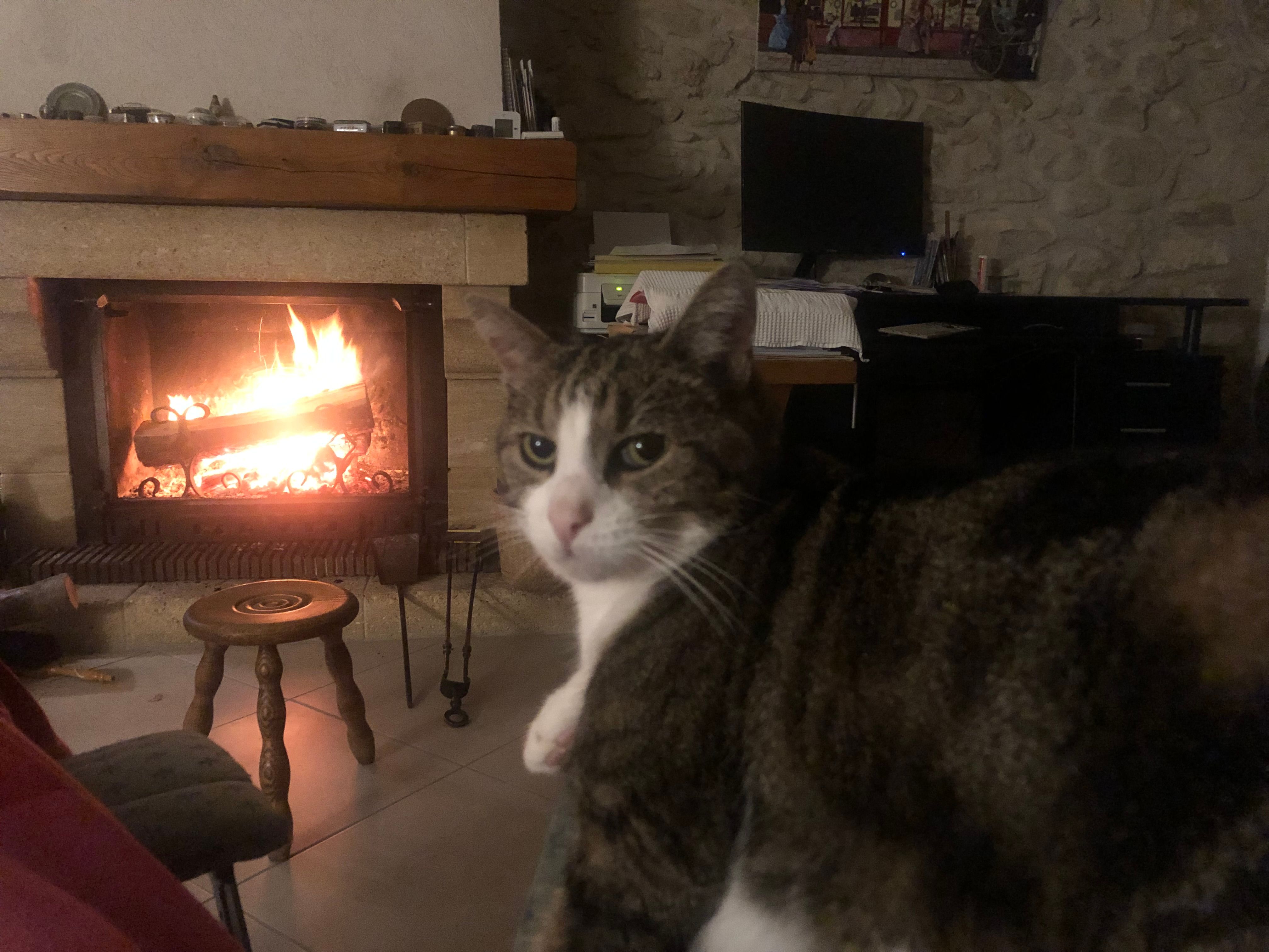 Maya - Rue Édouard Collas, Saintines