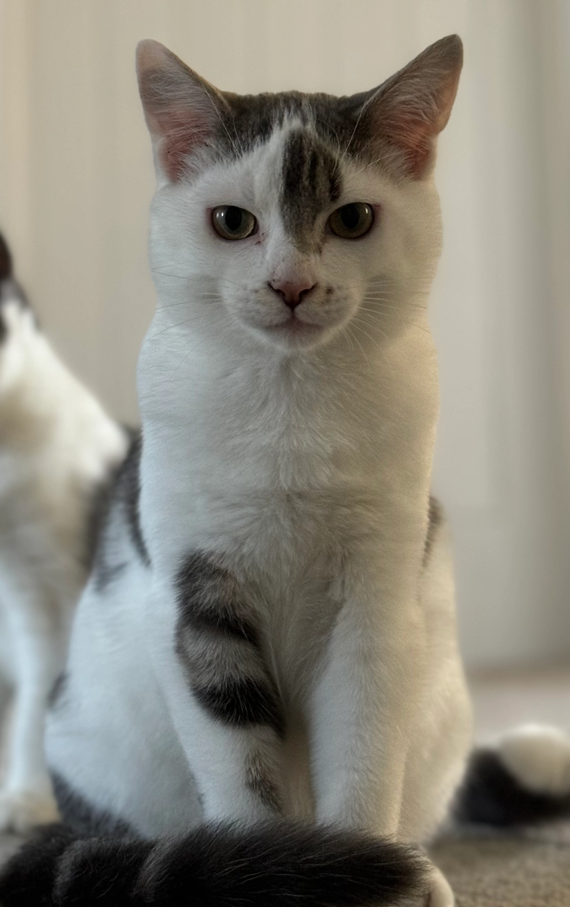 Beanz - Musket Road, Newton Abbot