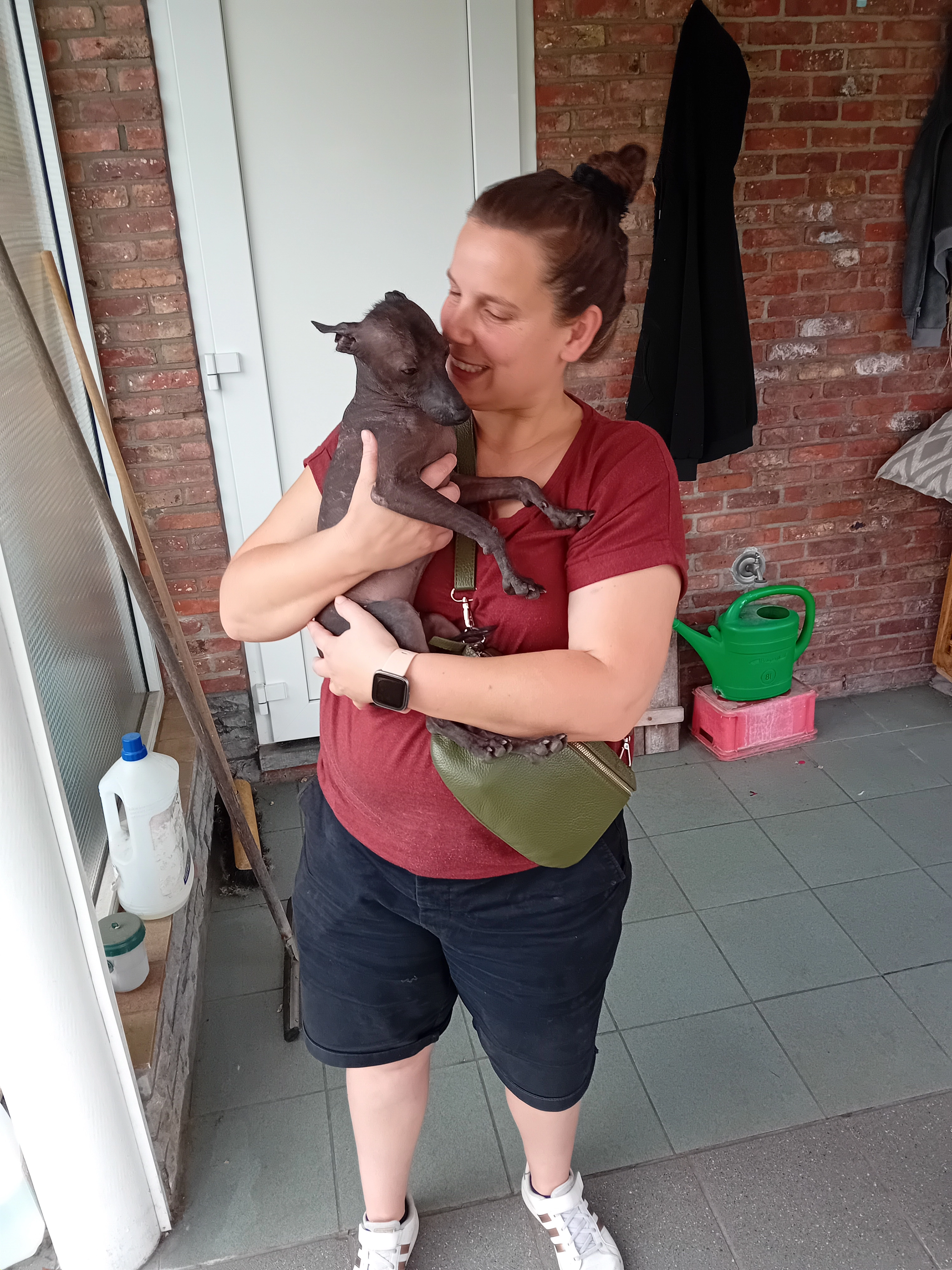 Pien - Vredelaan, Vosselaar