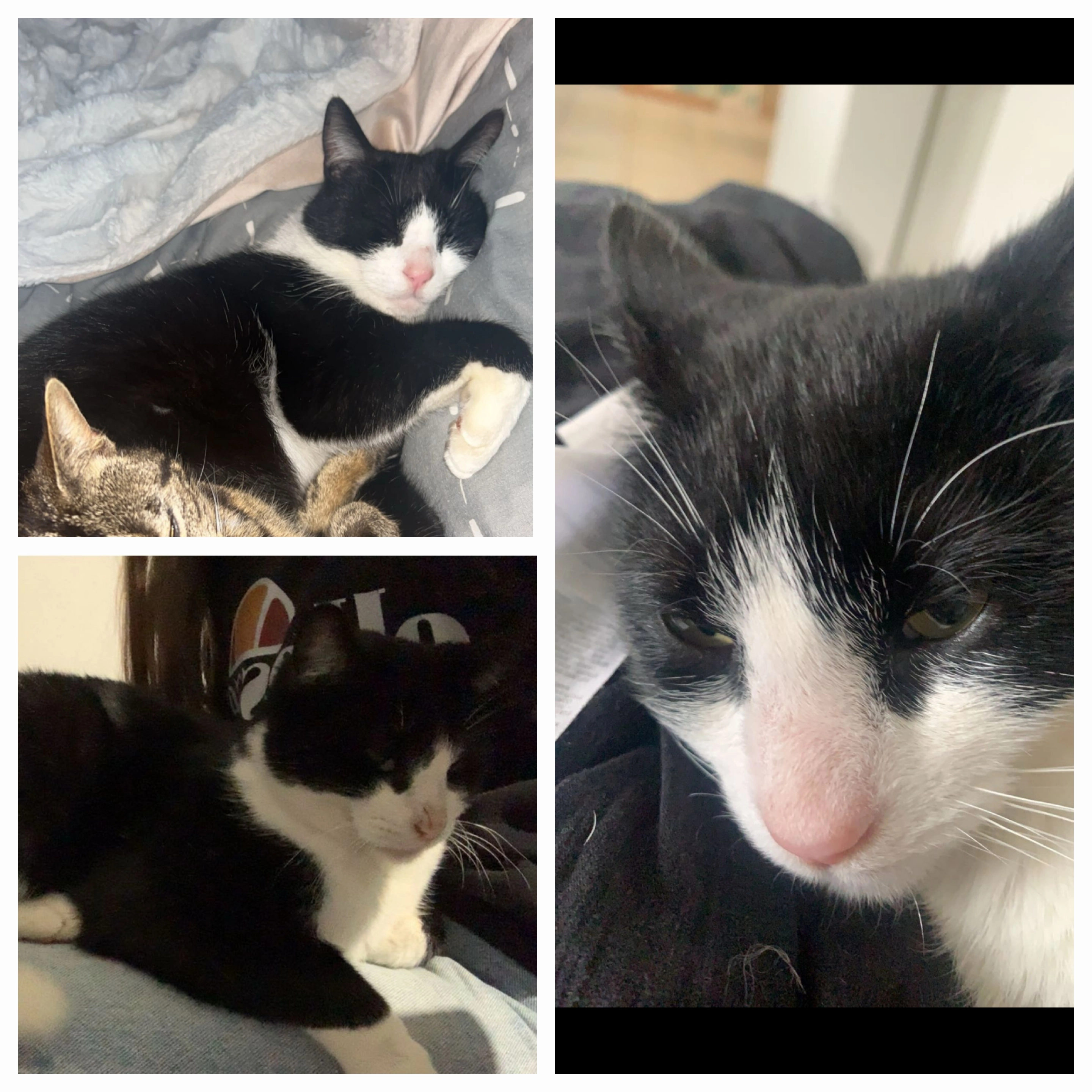 Patrick  - 90 Rue des Raques, Agnetz