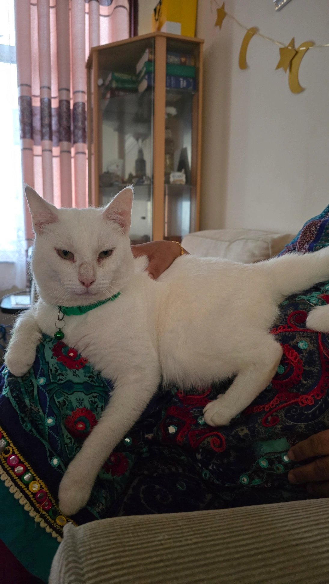 Butterball - Vicarage Lane, London