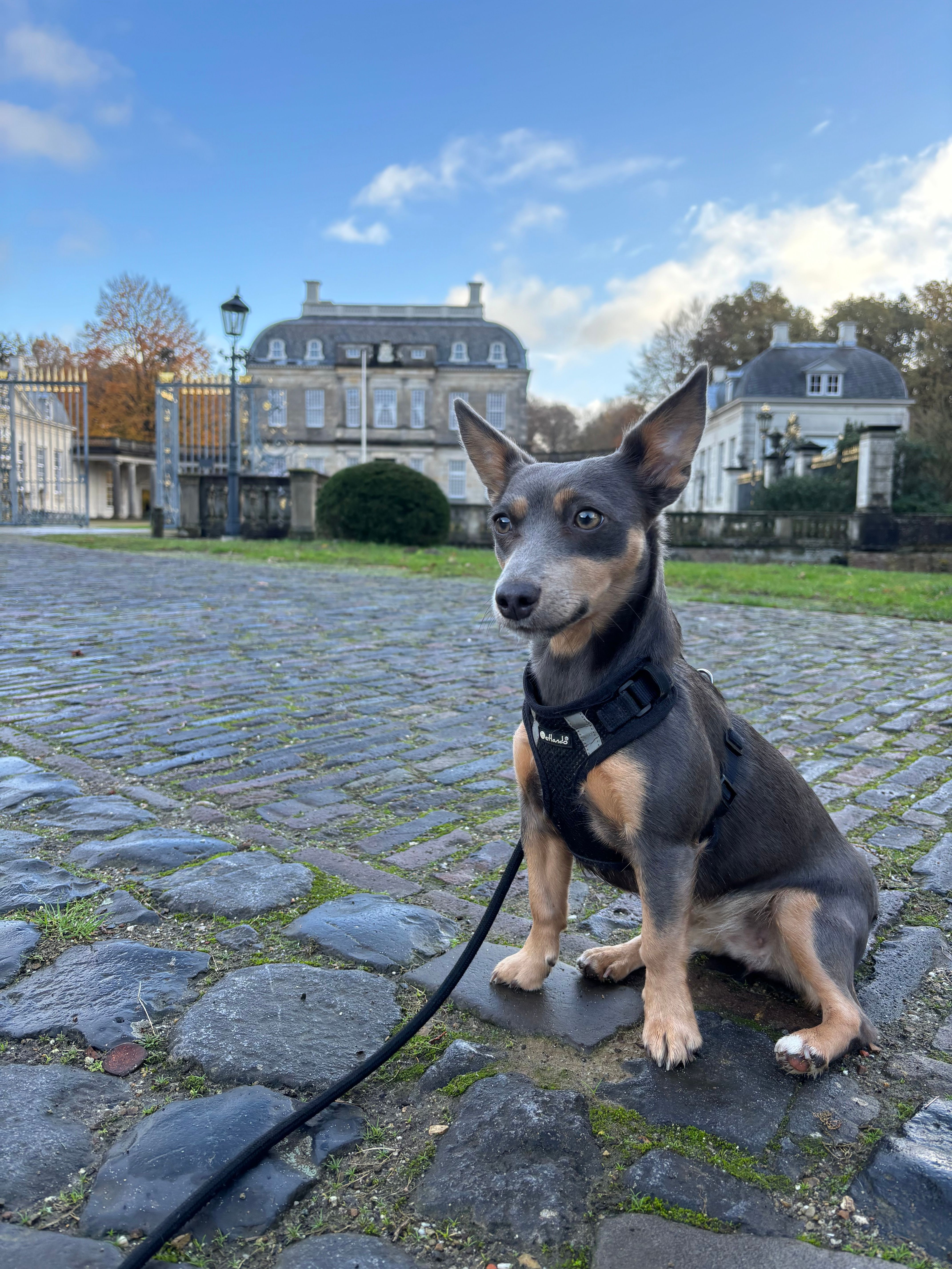 Dess - Coehoornsingel, Zutphen