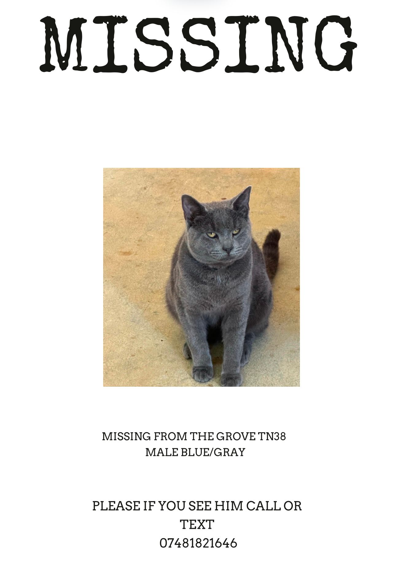 Baloo  - TN38 9TD, St. Leonards-on-Sea