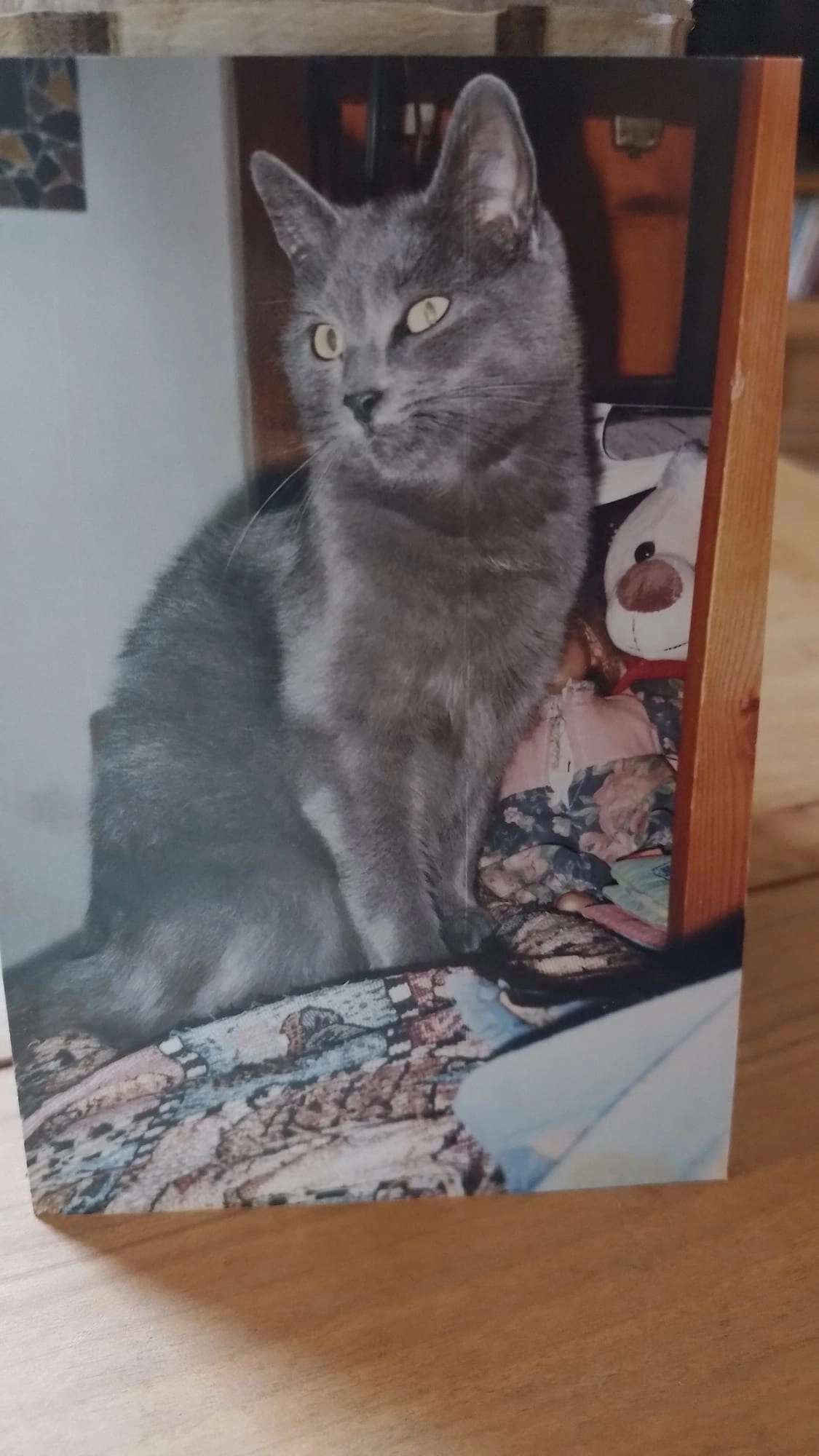 Maggie - Am Katzenbuckel, Neckargemünd