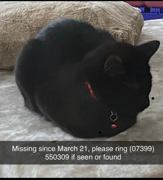 Binx - Tennyson Avenue, Dunstable
