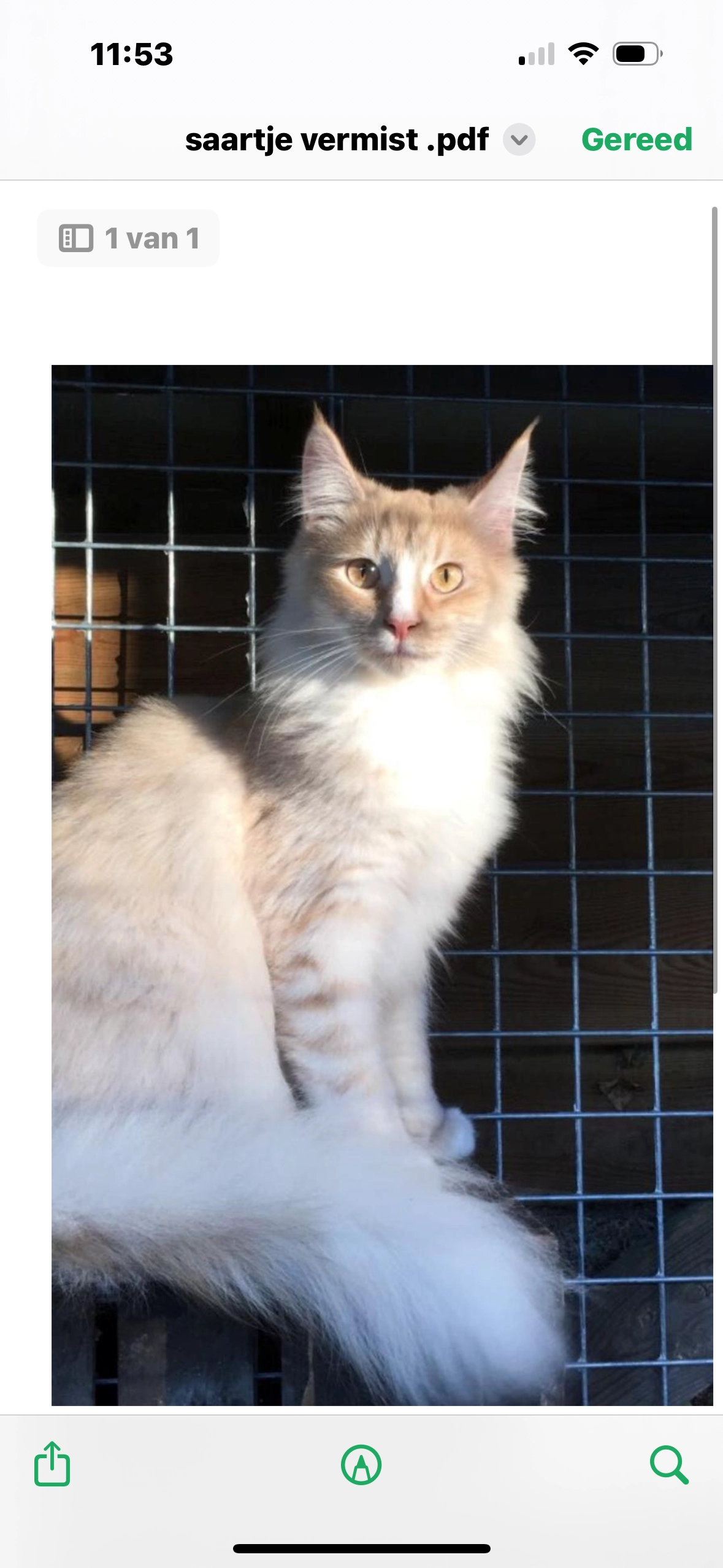 Saartje - Lavendelstraat, Weert