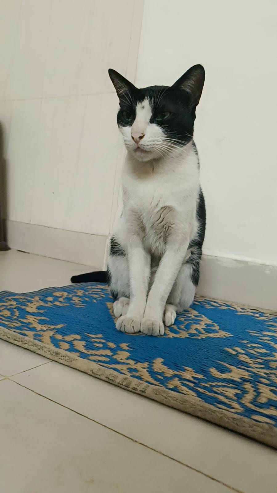 Mani - Arunoday Society Sector -8 Nerul , Navi Mumbai