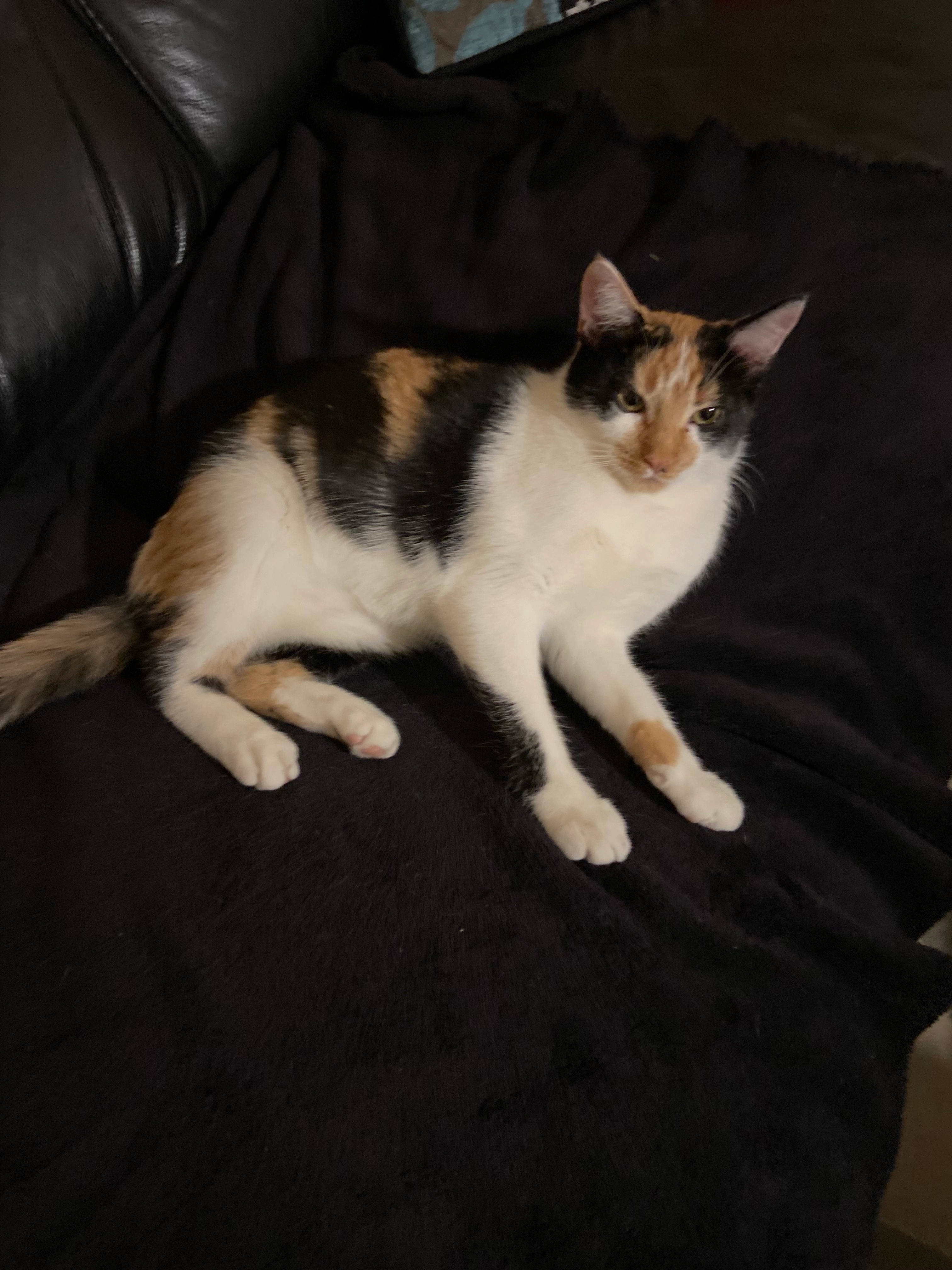 Kally - Rue Des Déportés, Nazelles-Négron