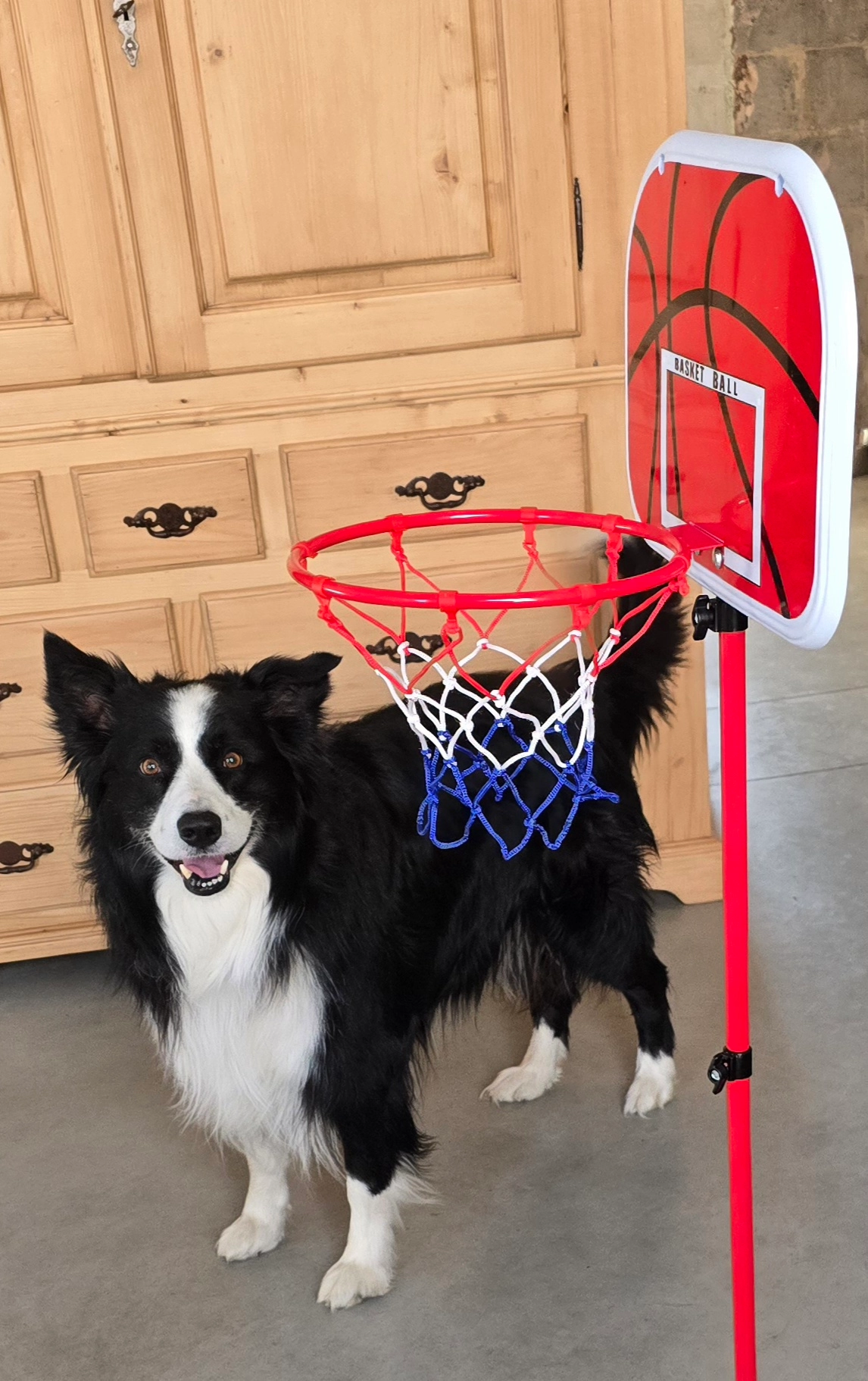 Maki - Rue de Belair 1, Namur