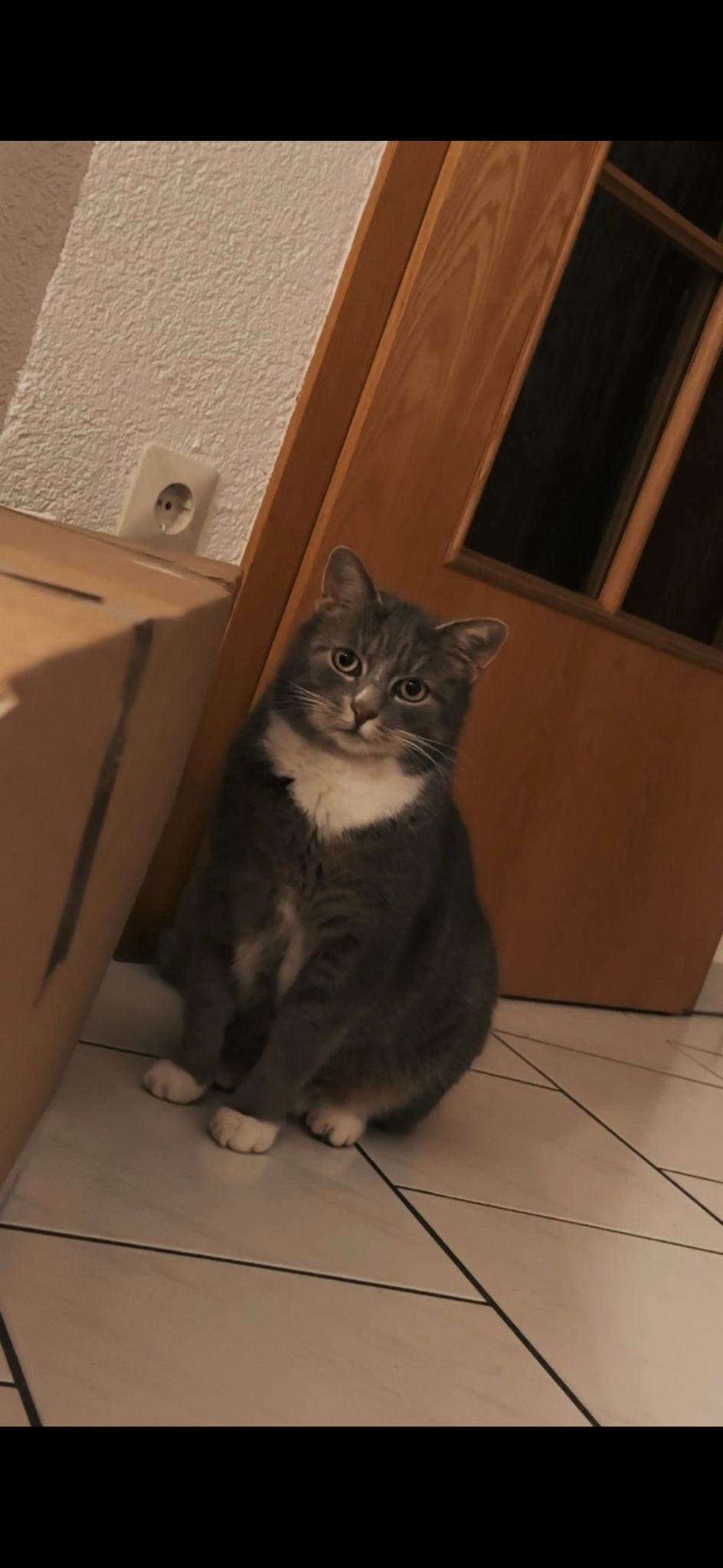 Snoopy  - Hoheneich, Unterschneidheim