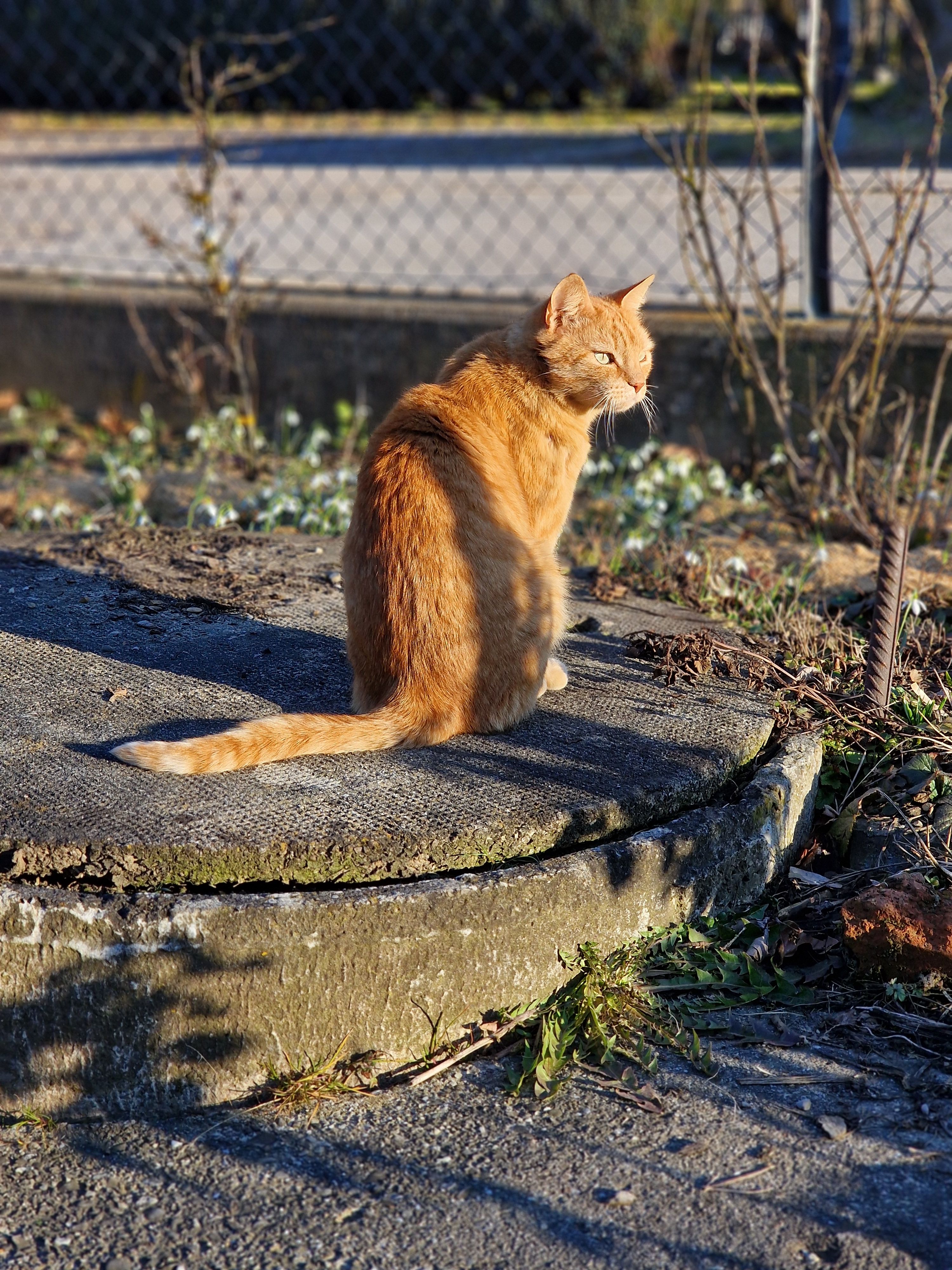 Harald - Bronner Straße, Biberach an der Riß