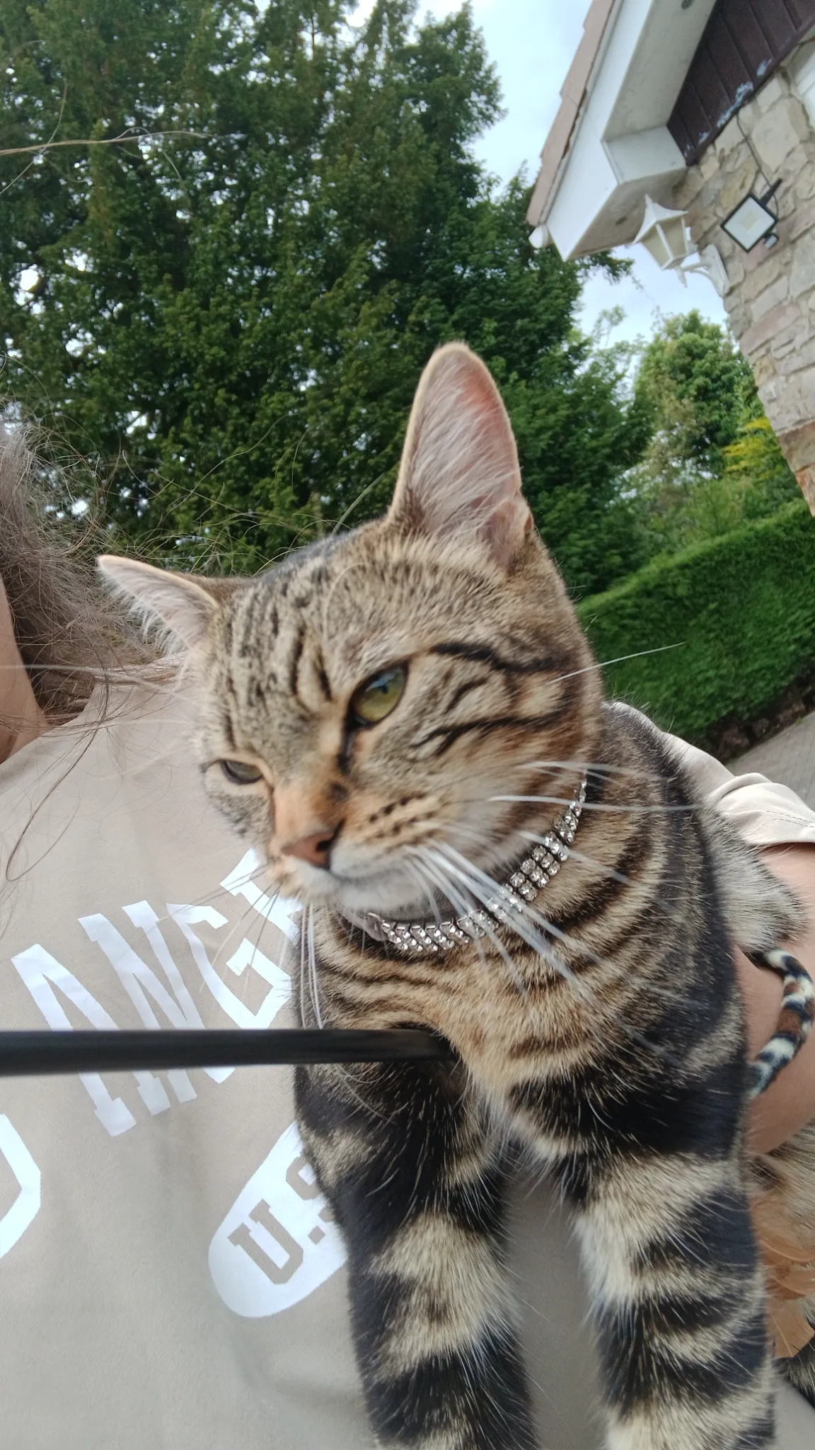 Arlo - Alexander Street, Renton