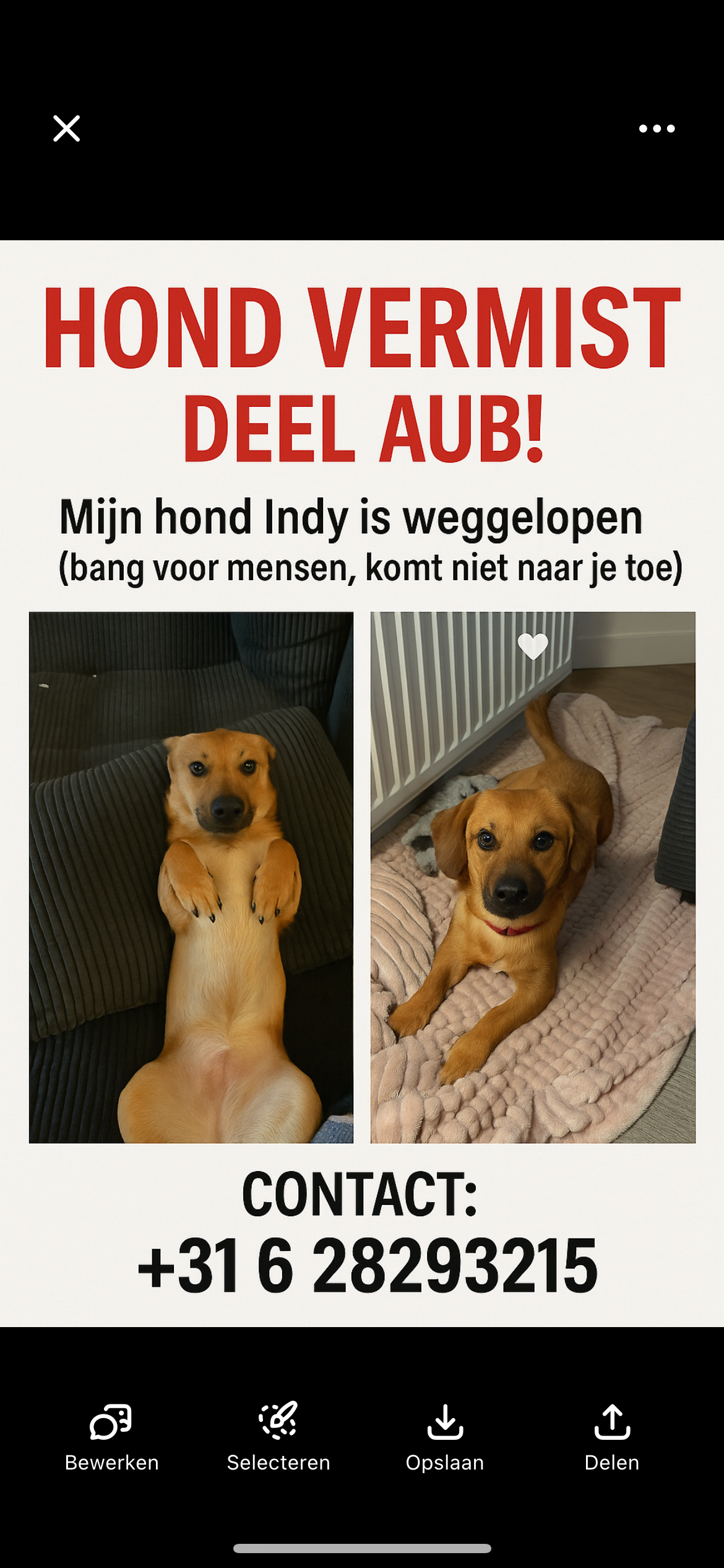 indy - Kerkhofsweg, Almelo