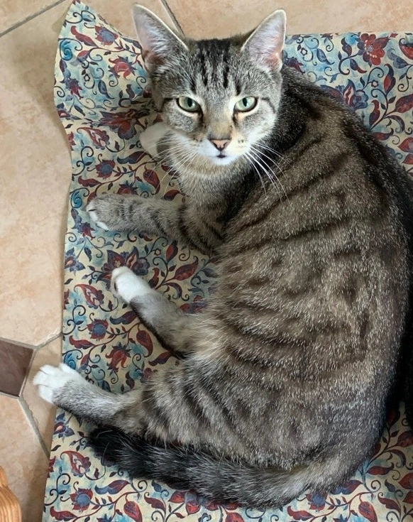 Hildi - Zur Spessarthütte, Ilmenau