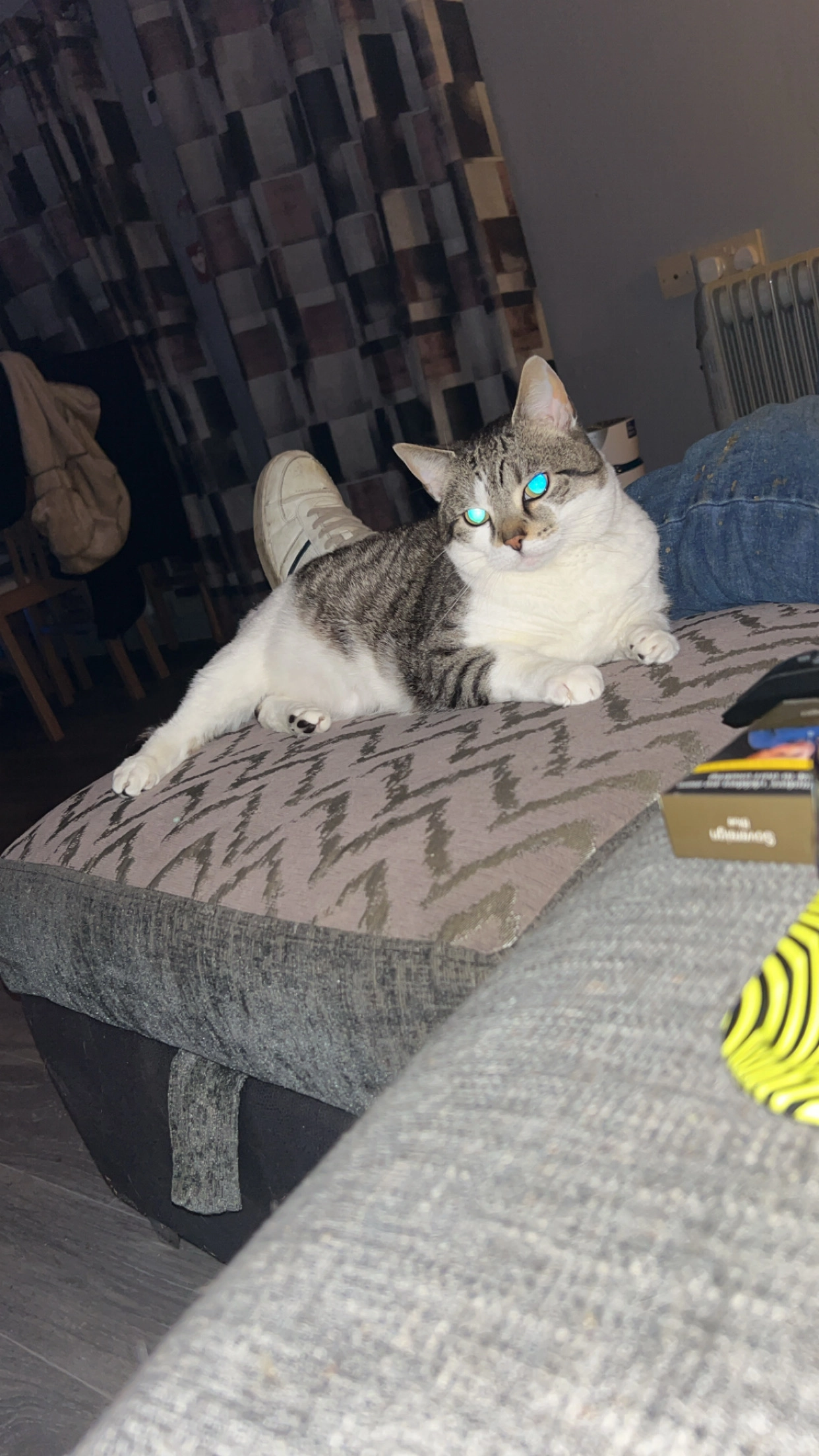 Mittens  - Carragh Road, Bushmills 