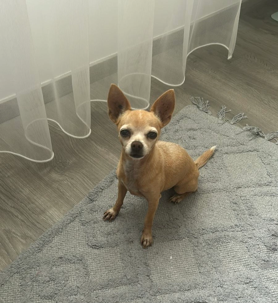 Jenna - Boulevard Pierre Mendès France, Dunkerque