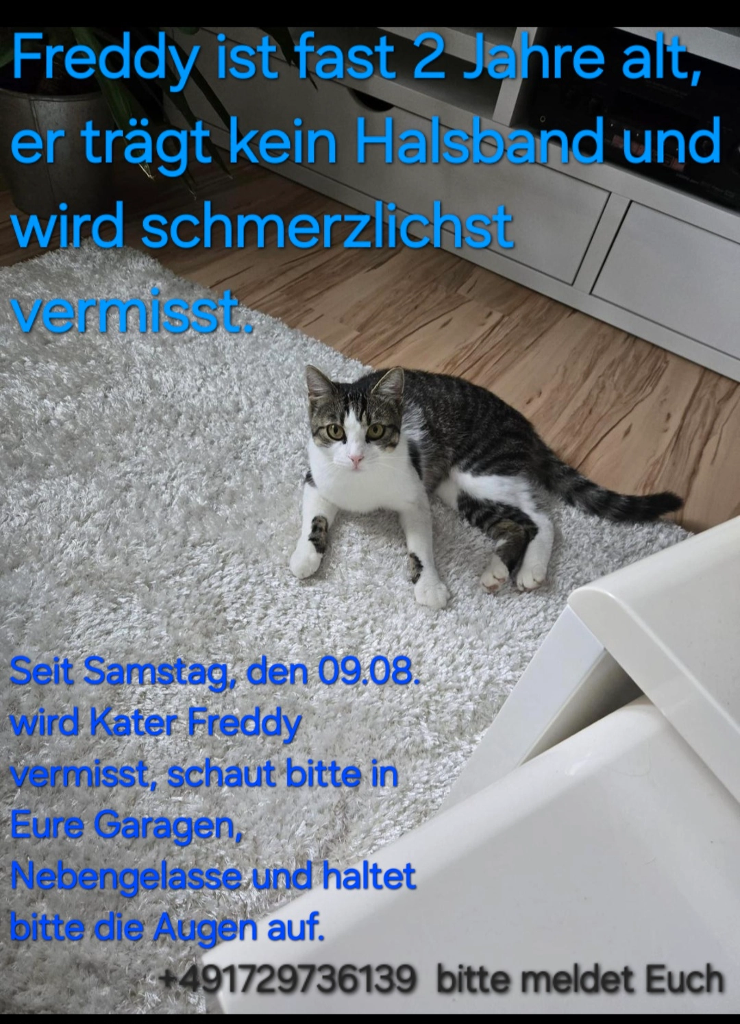 Freddy - Hermann-Michaelis-Straße, Eilenburg