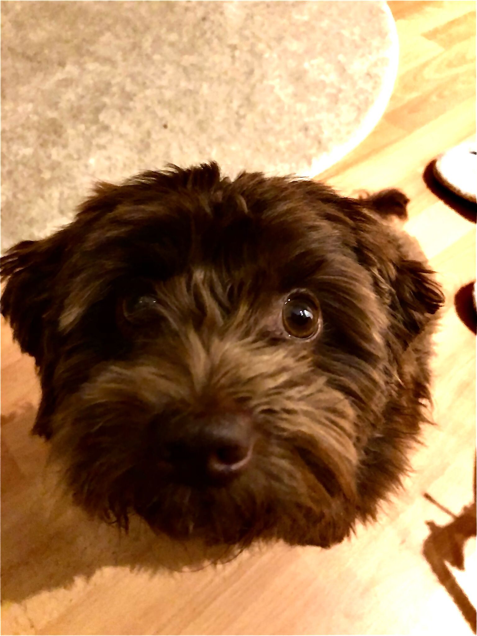 Matti - Hans-Sachs-Allee, Rostock