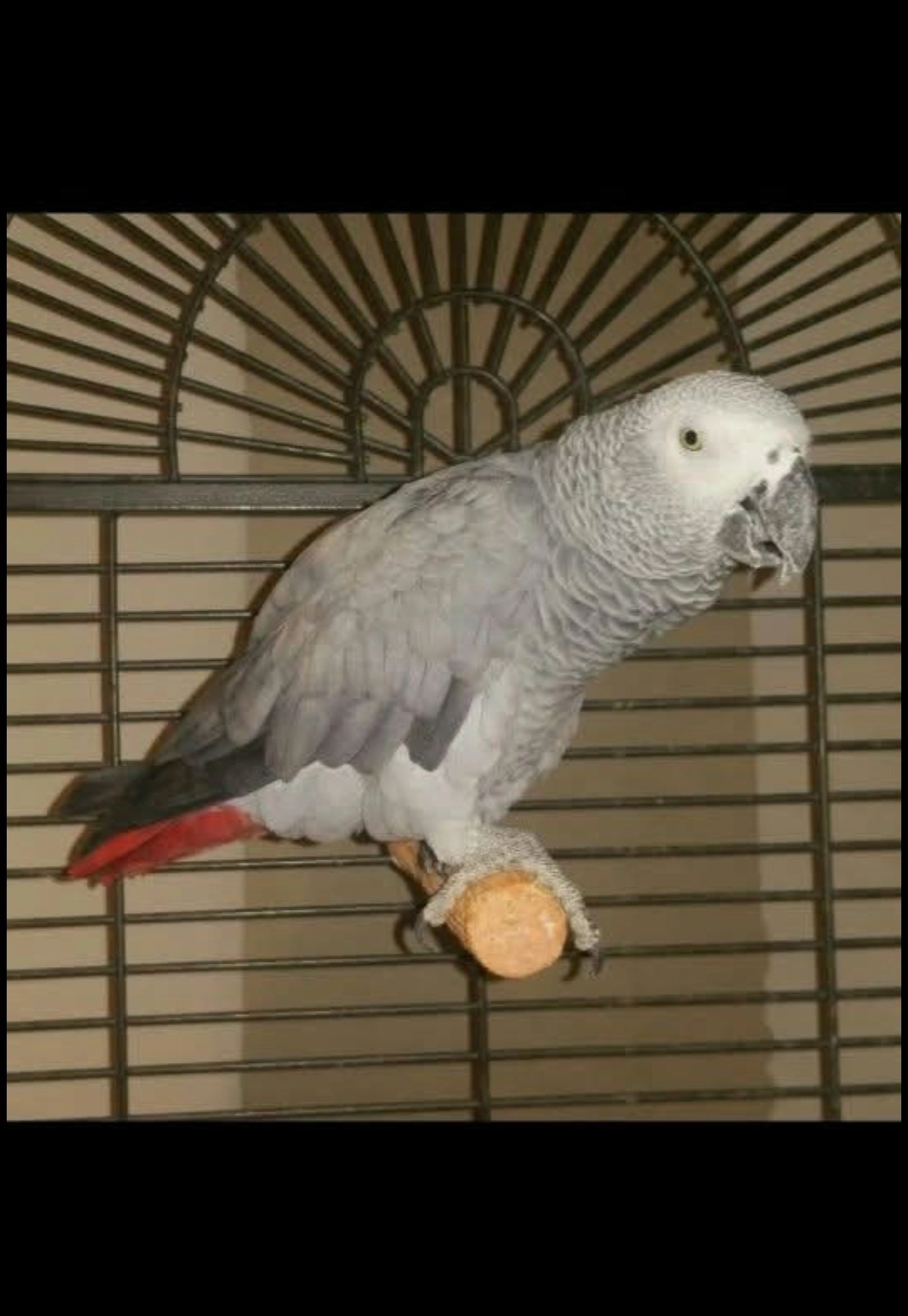 Kirikou  - Rue Jean Giono, Saint-Martin-de-Valgalgues