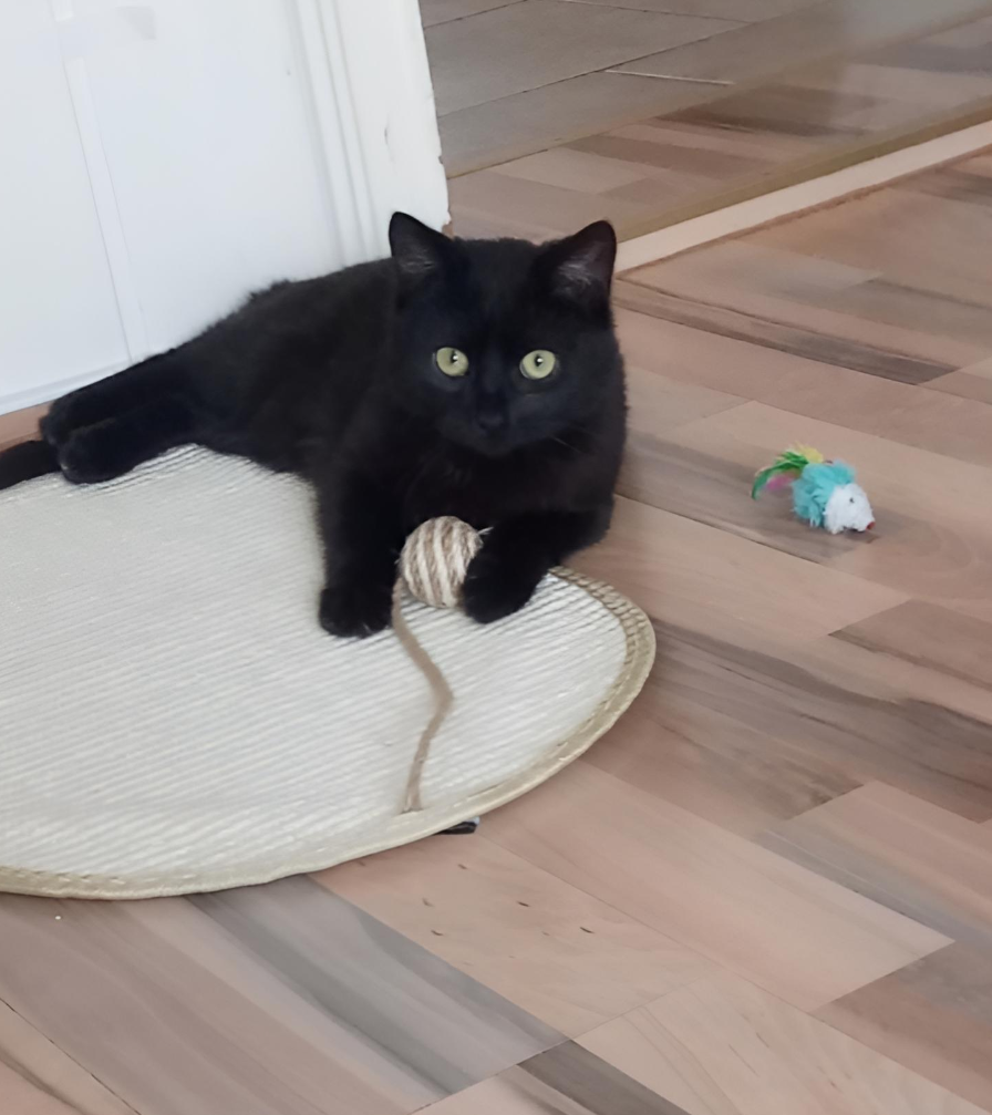 Luis - Hauptstraße, Elbe-Parey