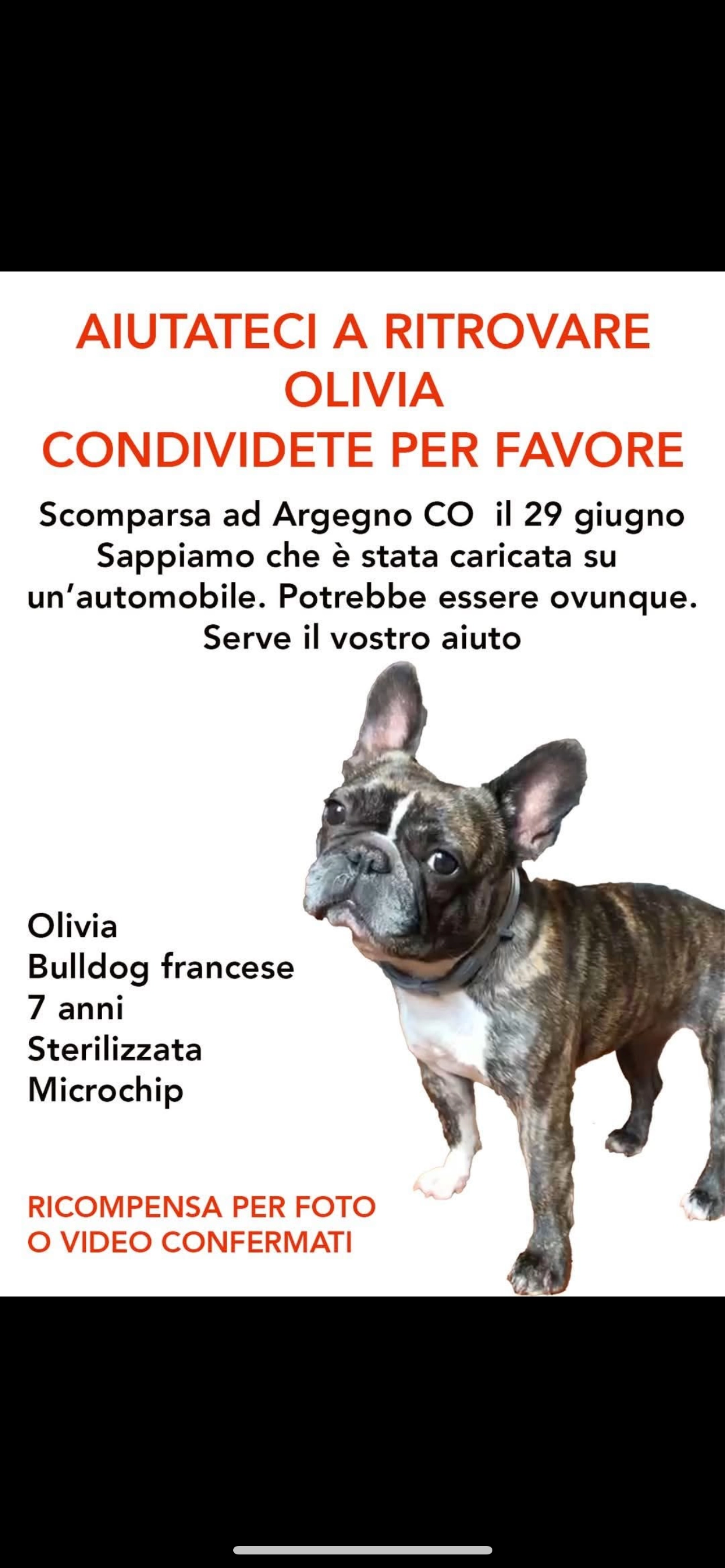 olivia - Via Argegno, Schignano